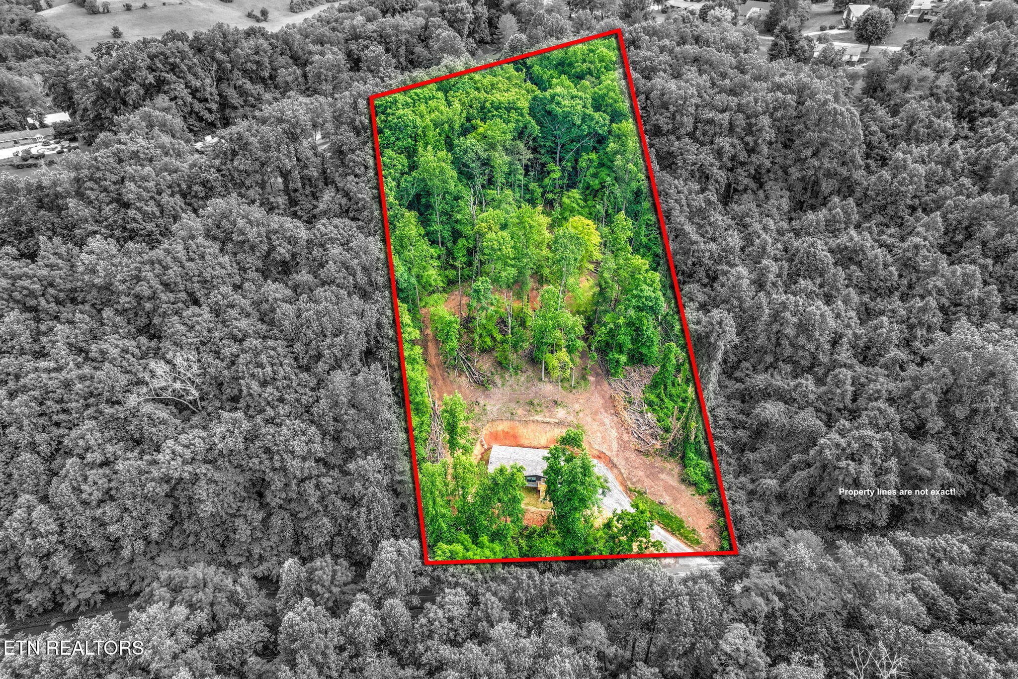 30-web-or-mls-DJI_0311_2_3-2 (1) - 283 Farmers Hollow Rd, Clinton, TN 37716