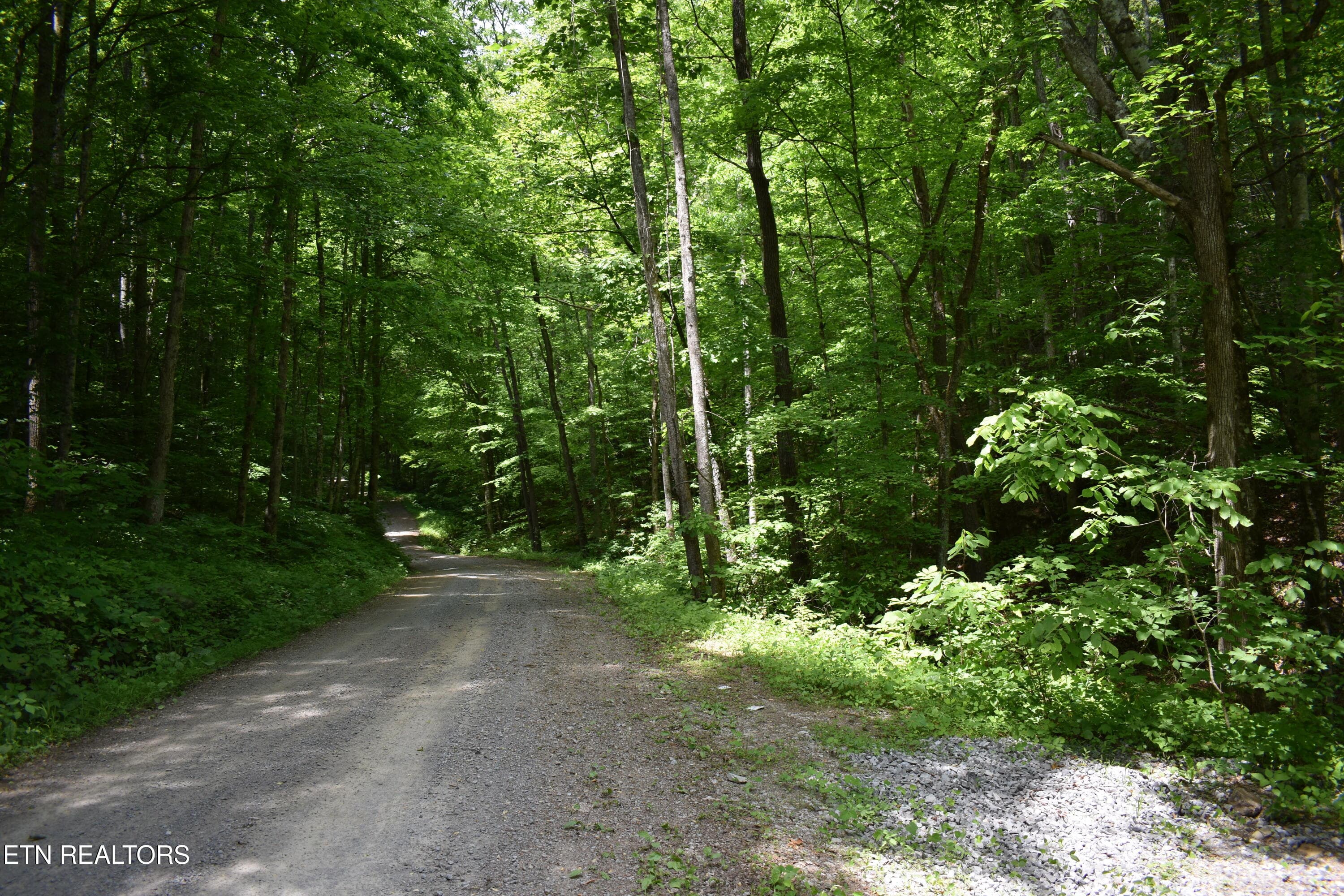 Shady Valley Rd, Ewing, VA 24248