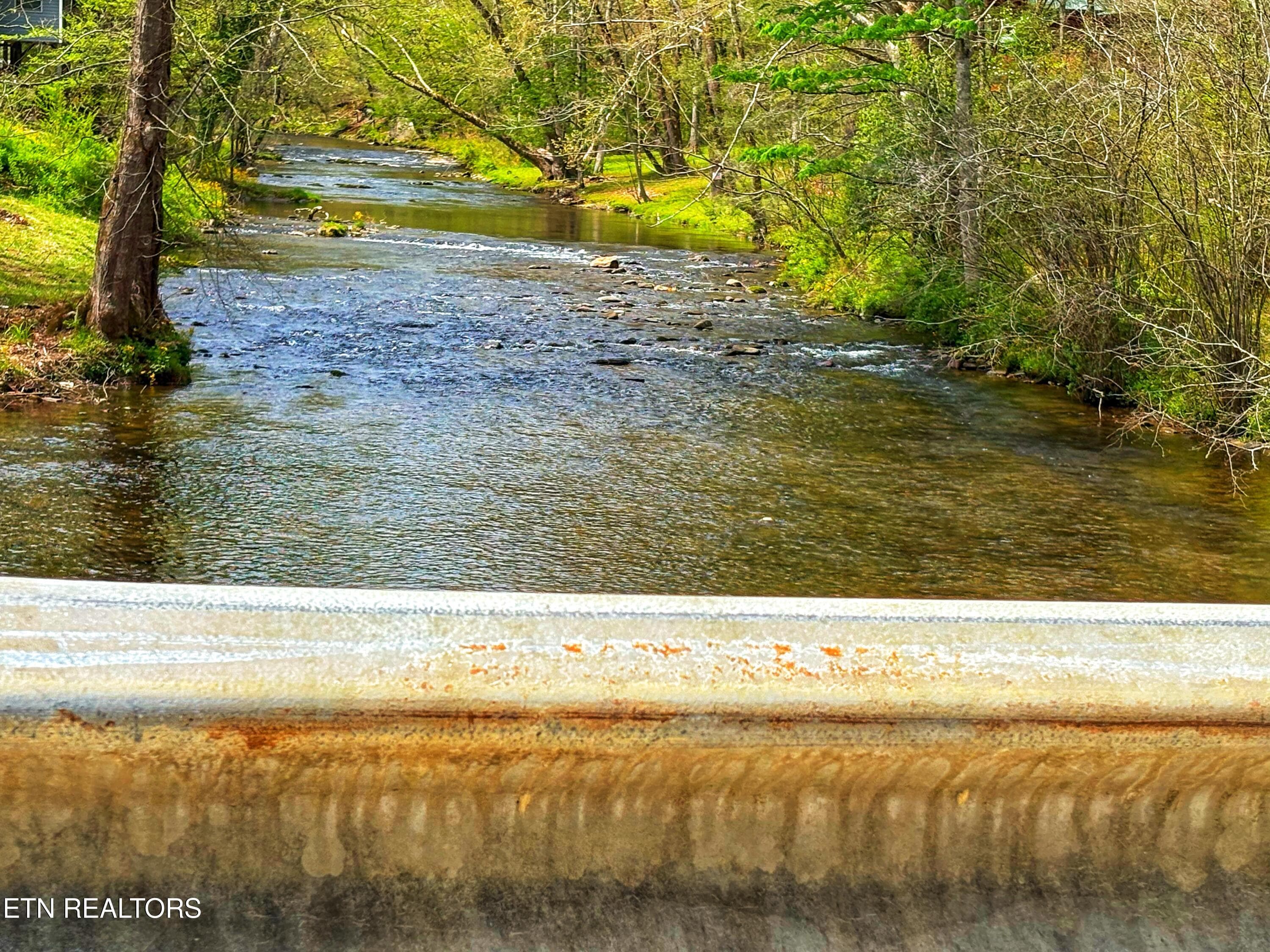 IMG_2102 - 3587 Mountain Creek Way, Cosby, TN 37722