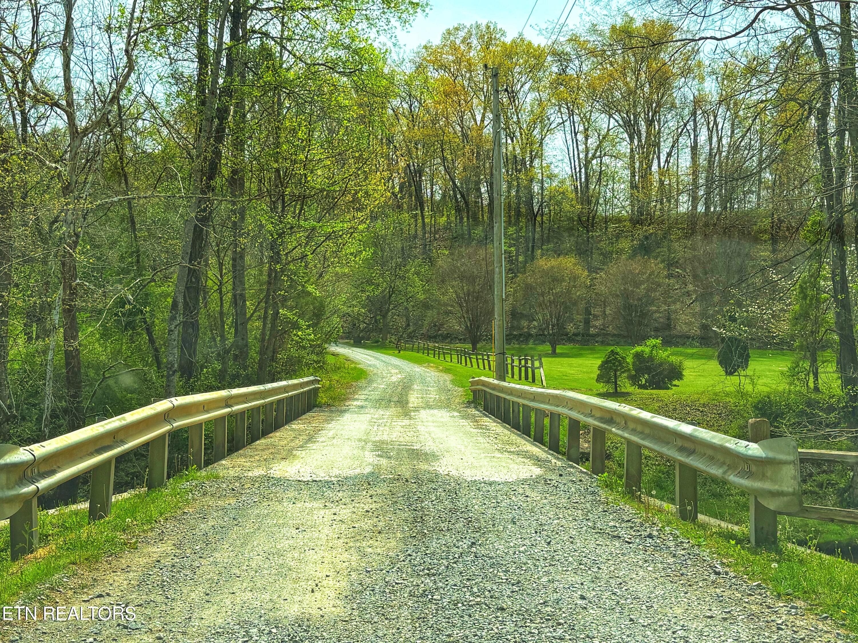 IMG_2103 - 3587 Mountain Creek Way, Cosby, TN 37722