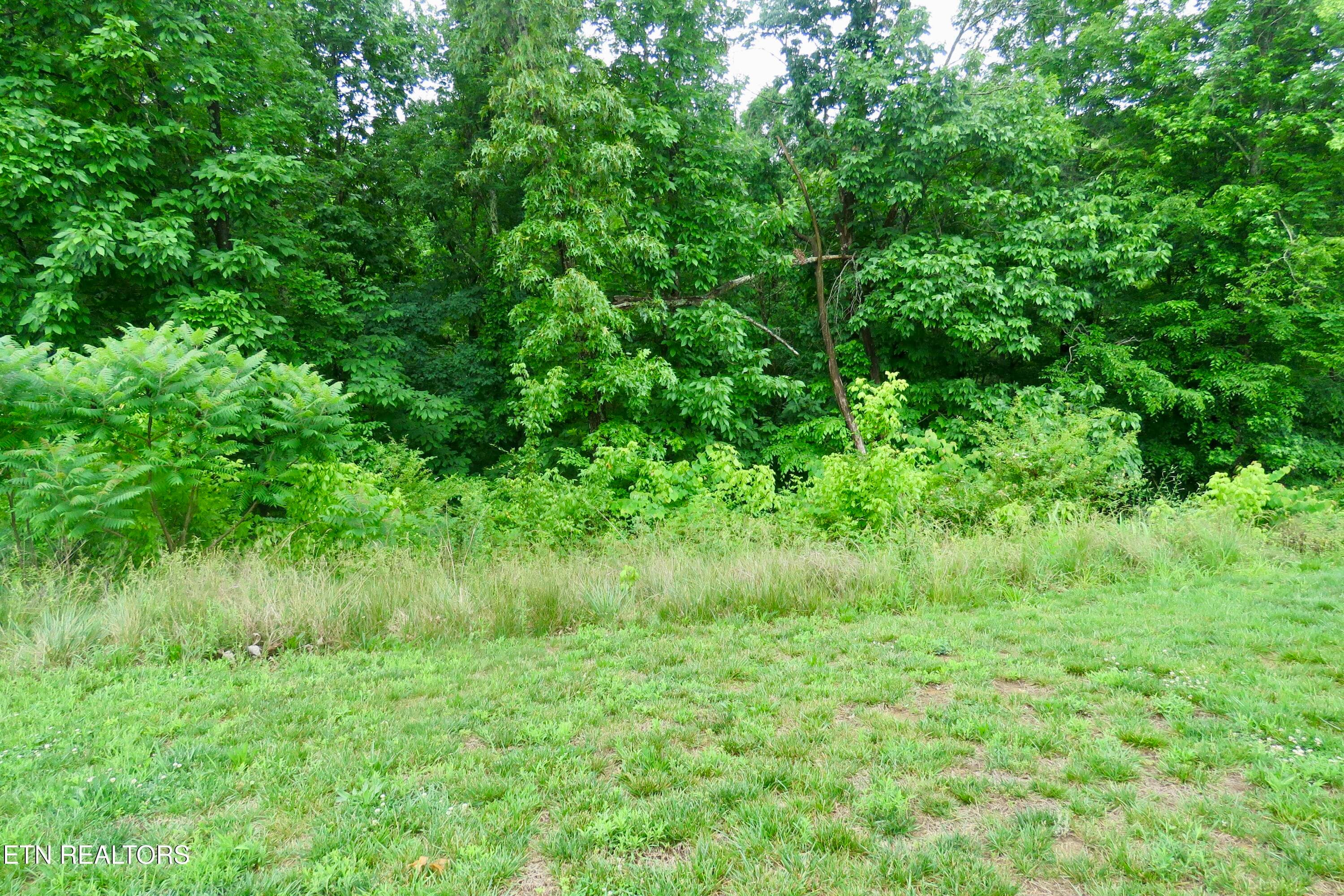 11 - 340 Hemlock Circle, Cookeville, TN 38501, Cookeville