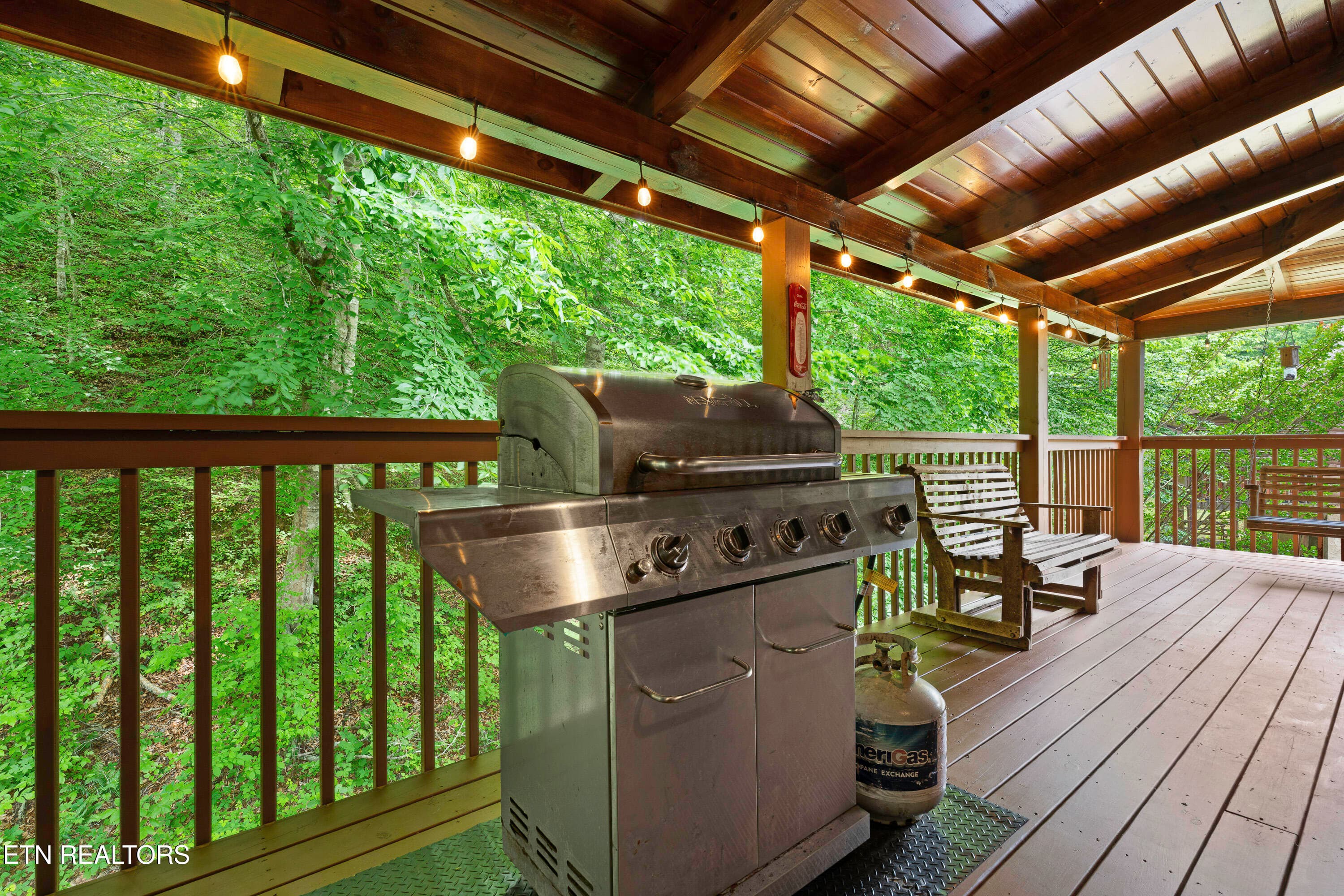 Grill - 1316 Wedge Tailed Lane, Sevierville, TN 37876