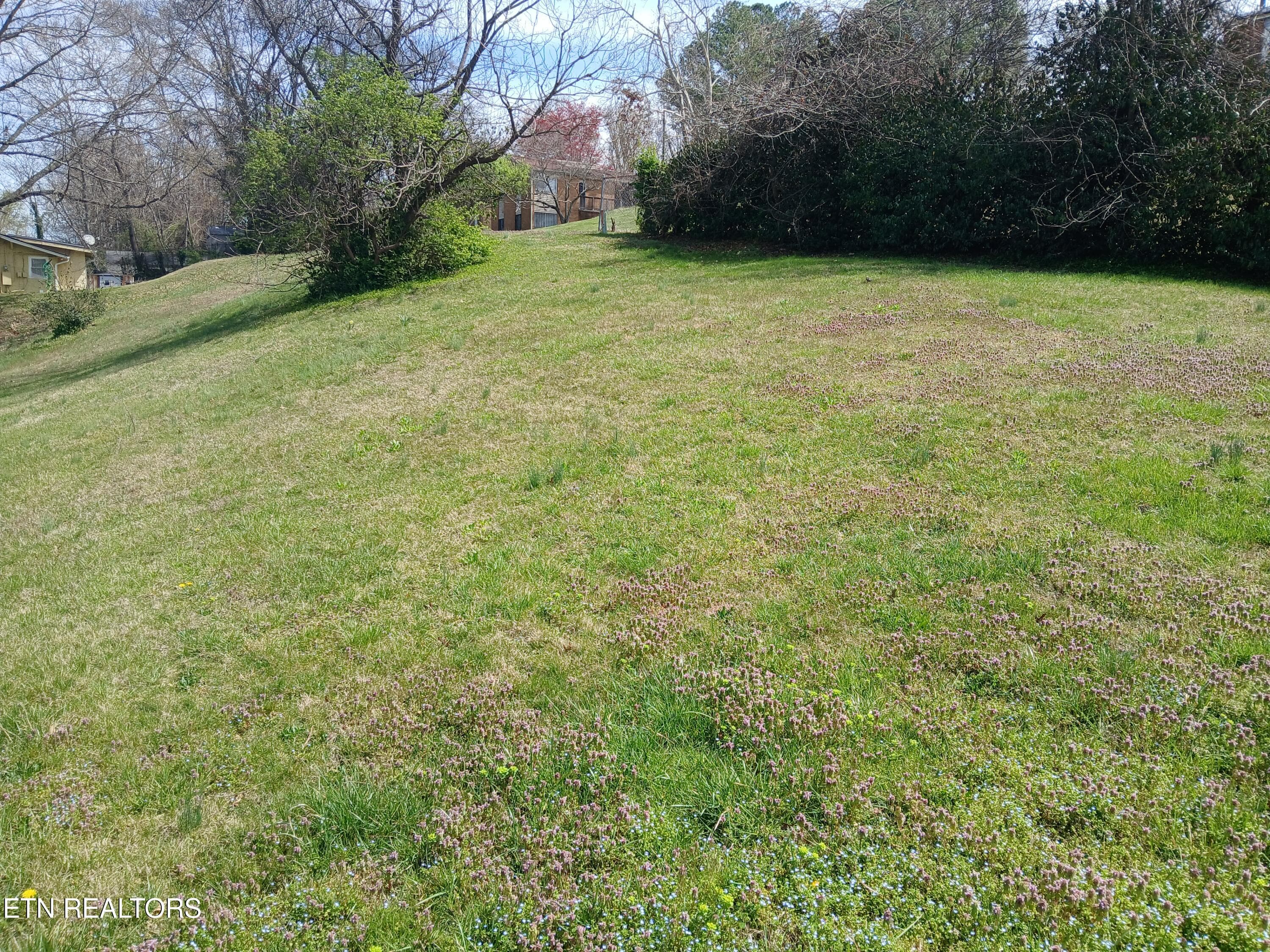 20250324_134755 - 1940 Bethel Ave, Knoxville, TN 37915, Knoxville