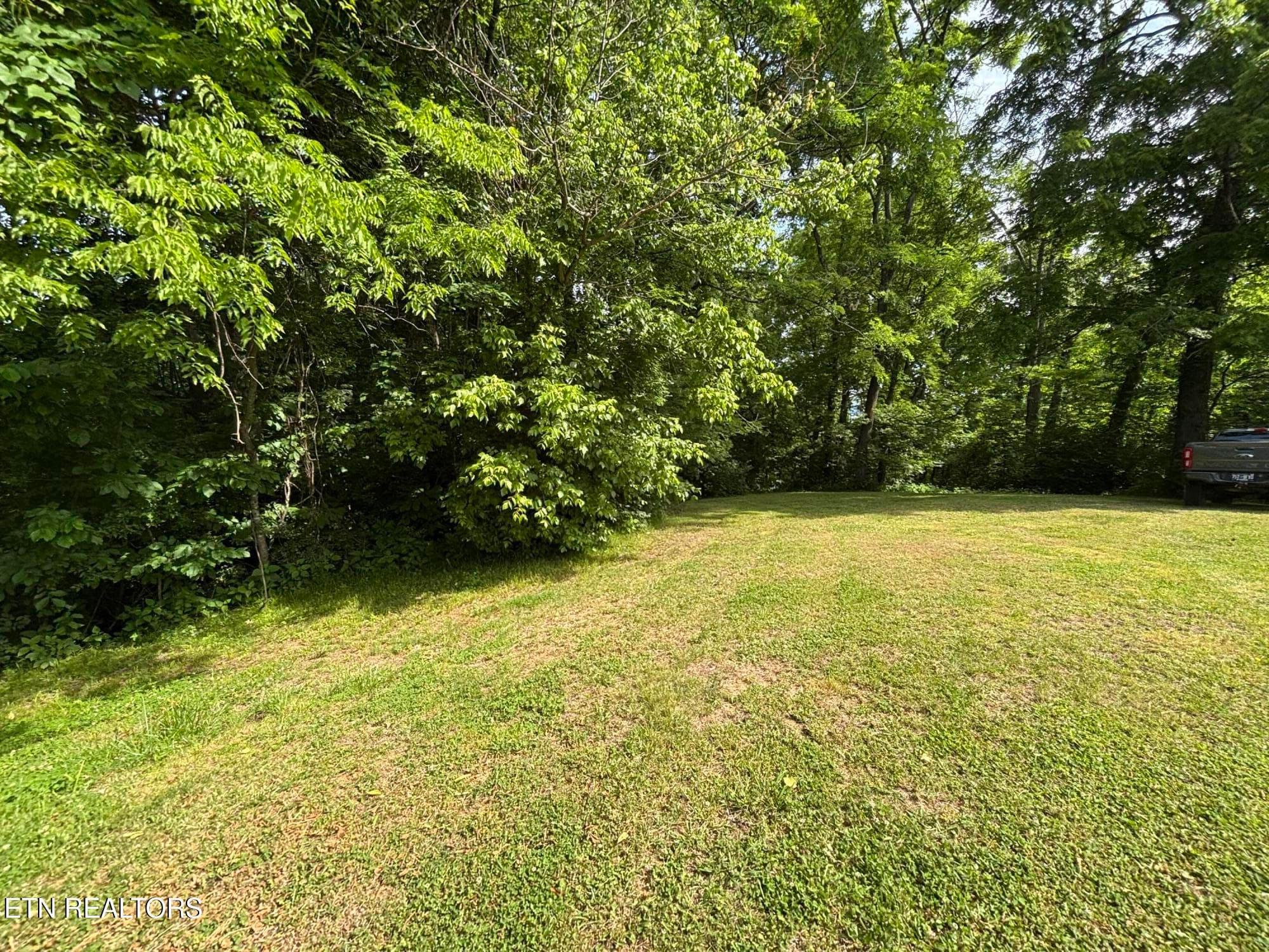 IMG_2237 - 320 Cherry Hill Way, Newport, TN 37821