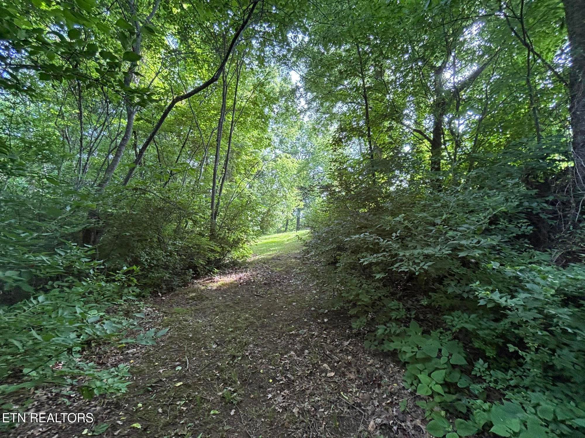 IMG_2235 - 320 Cherry Hill Way, Newport, TN 37821