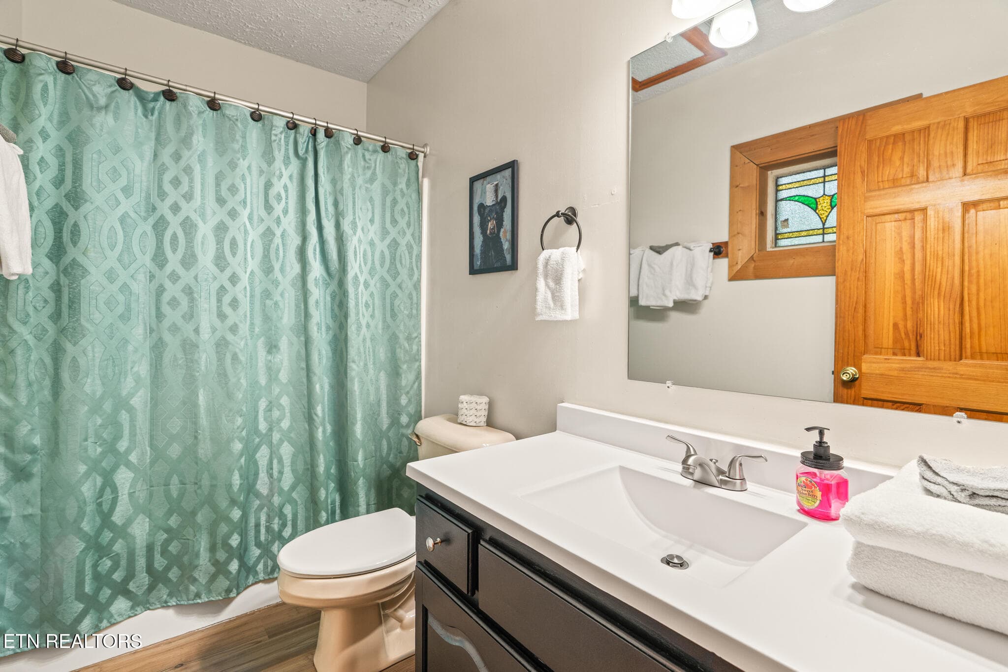 untitled-45 - 314 Brown Wren Way, Gatlinburg, TN 37738, Gatlinburg