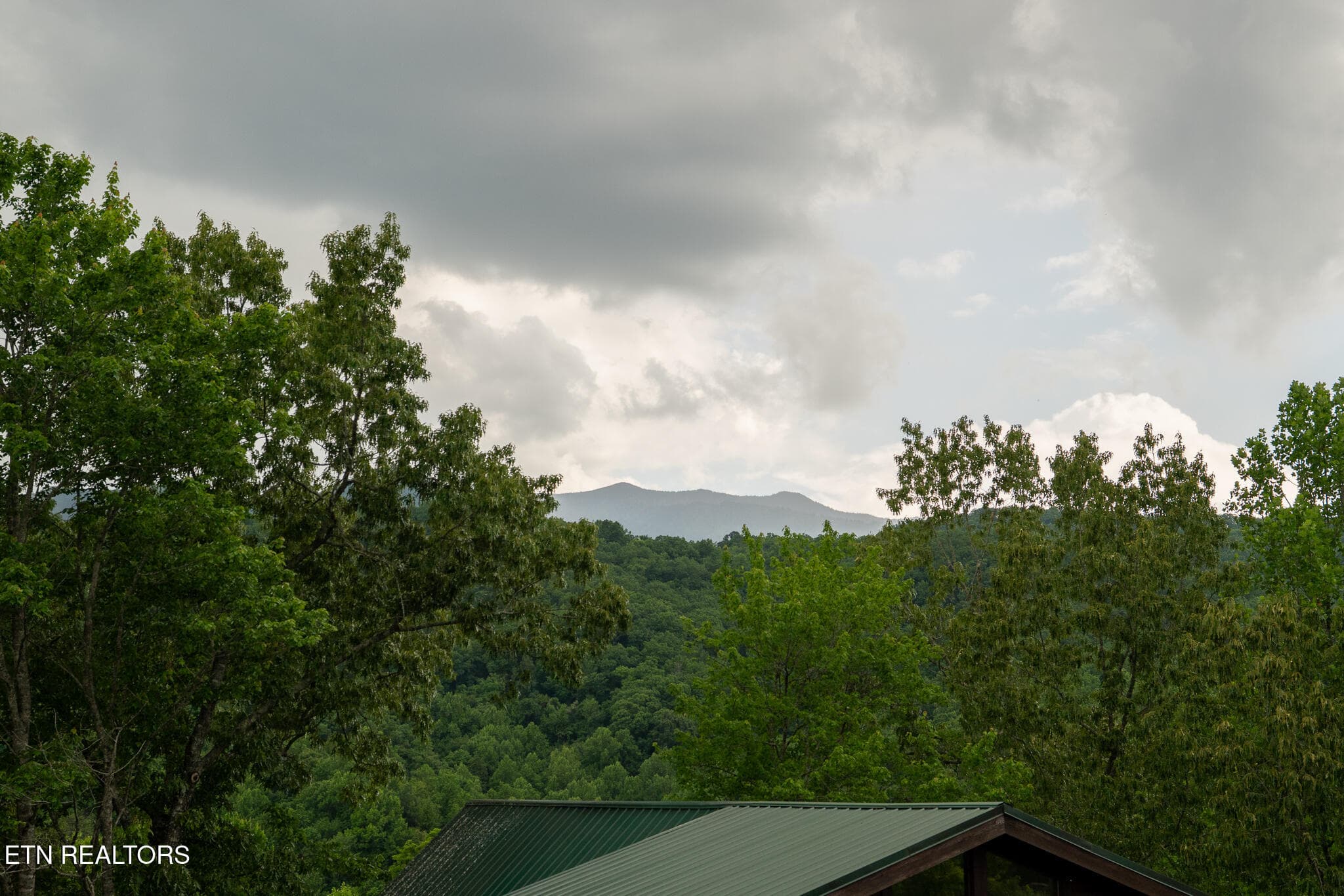 untitled-39 - 314 Brown Wren Way, Gatlinburg, TN 37738, Gatlinburg