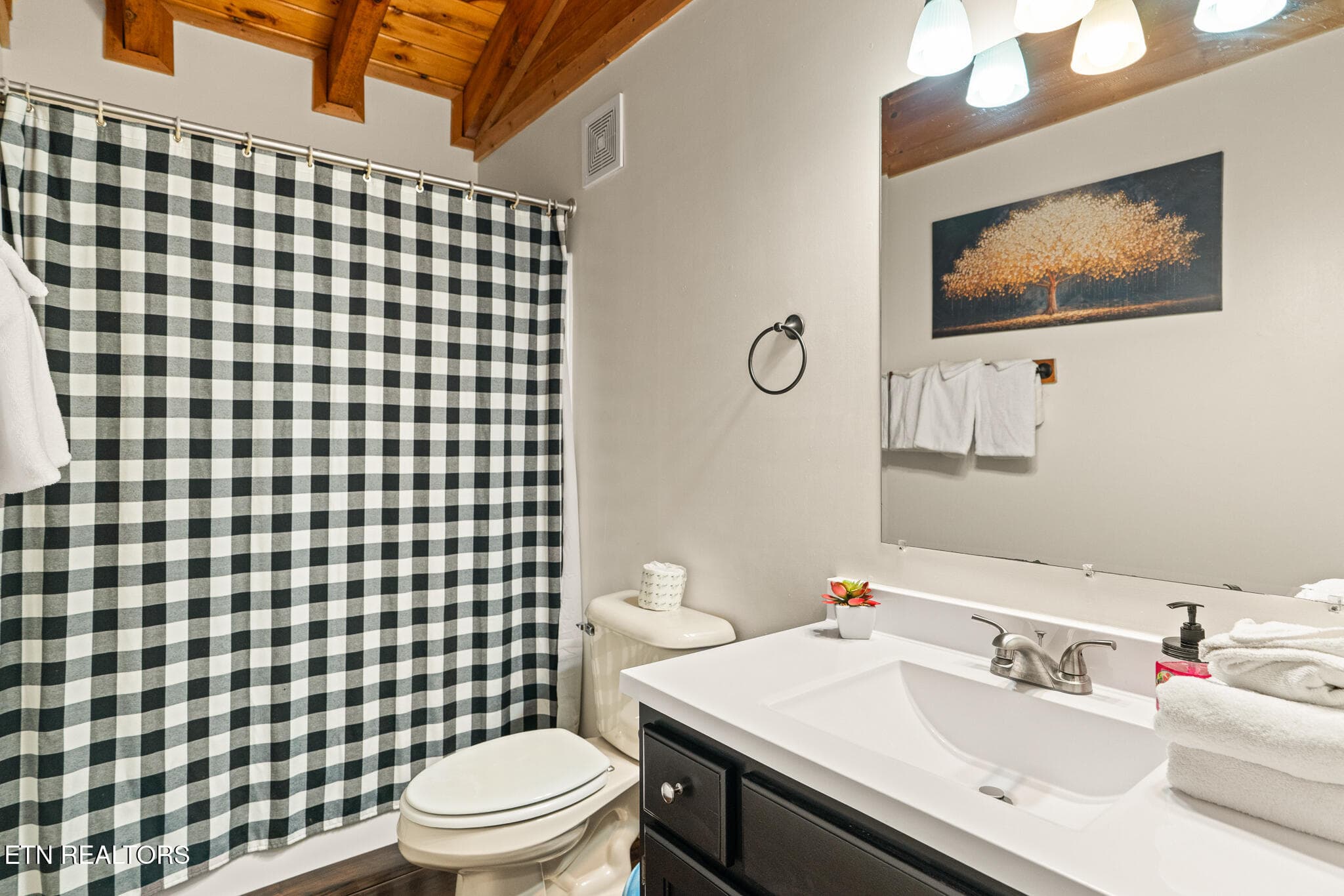 untitled-37 - 314 Brown Wren Way, Gatlinburg, TN 37738, Gatlinburg
