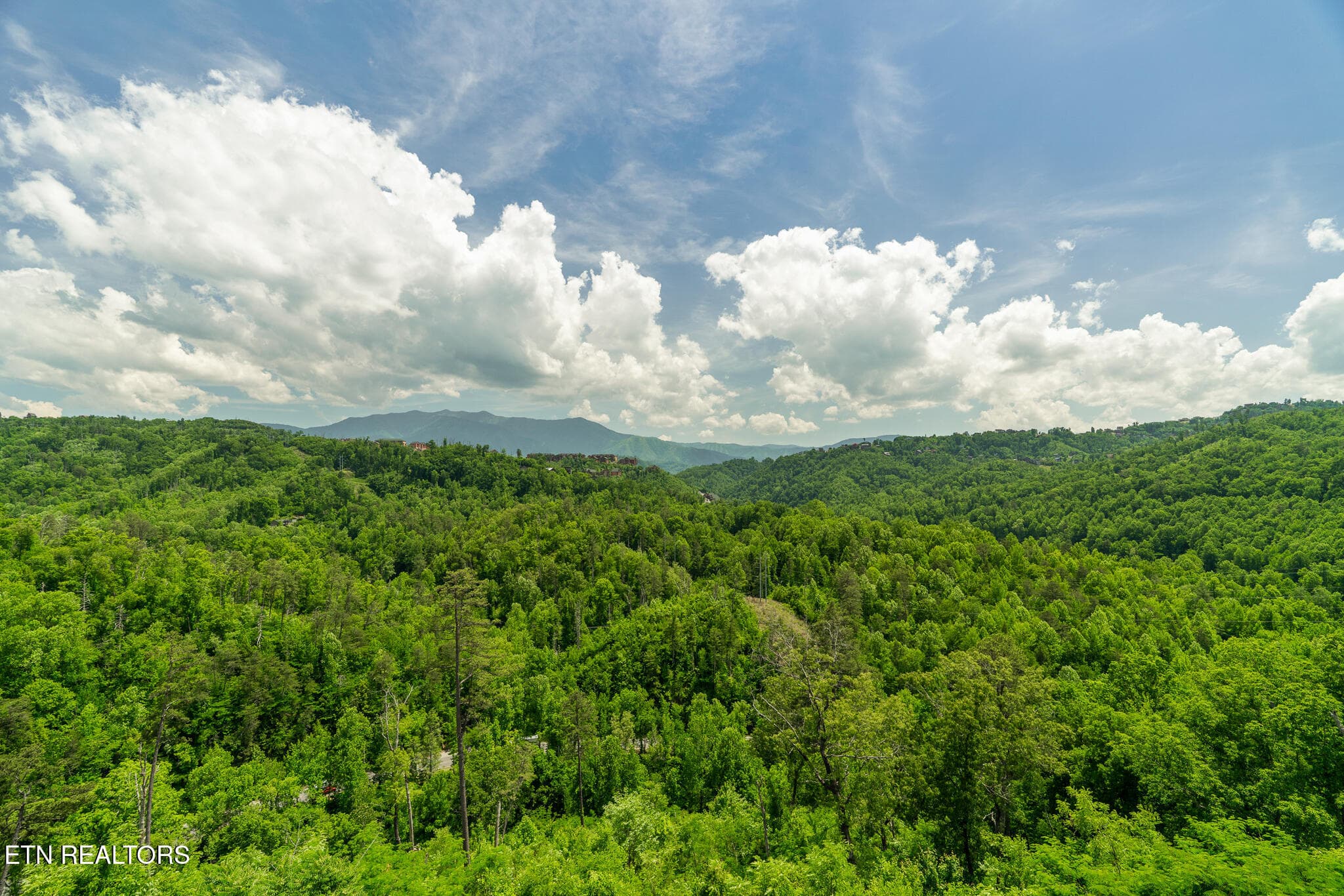 untitled-50 - 1252 Annes Rd, Gatlinburg, TN 37738, Gatlinburg