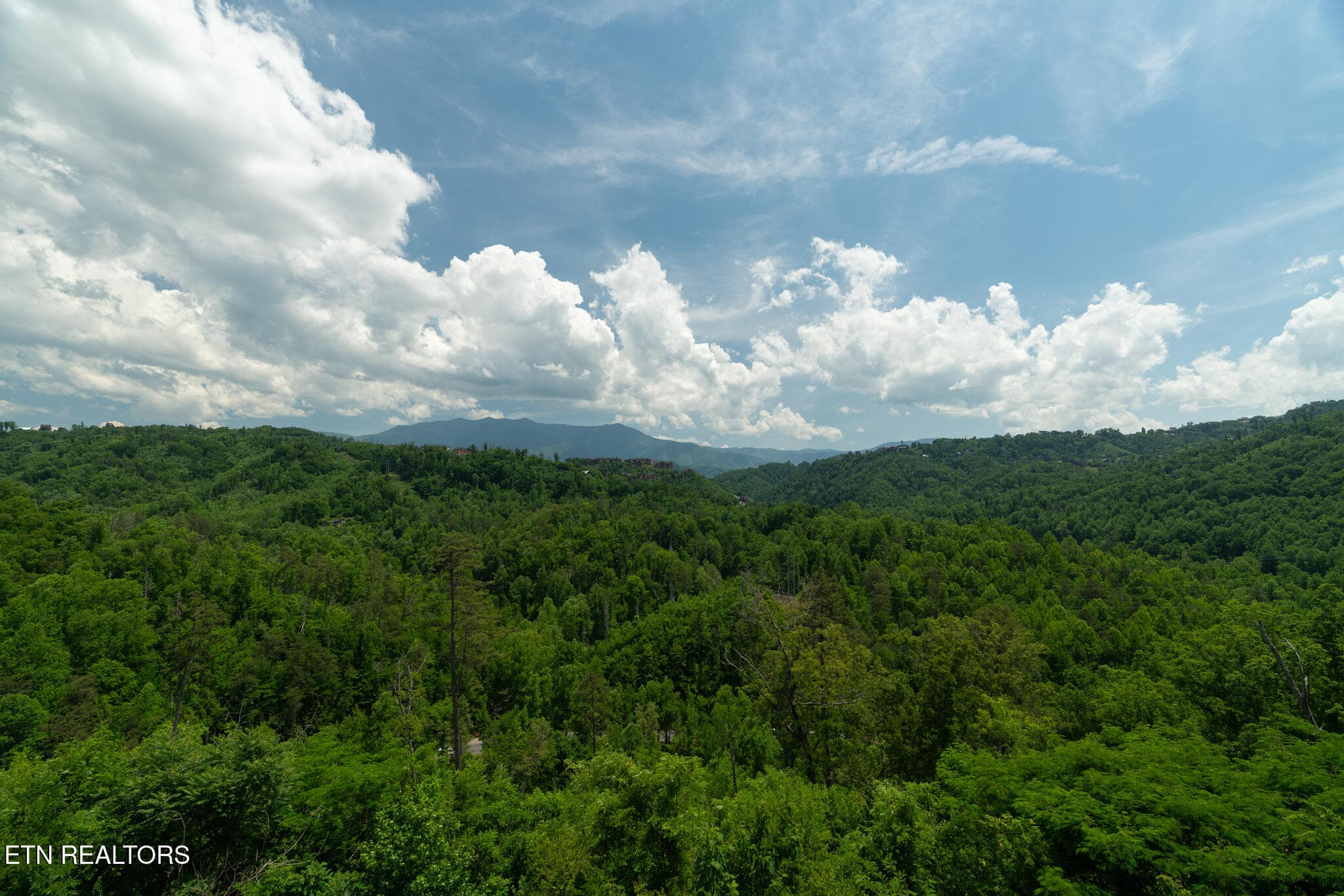 untitled-31 - 1252 Annes Rd, Gatlinburg, TN 37738, Gatlinburg
