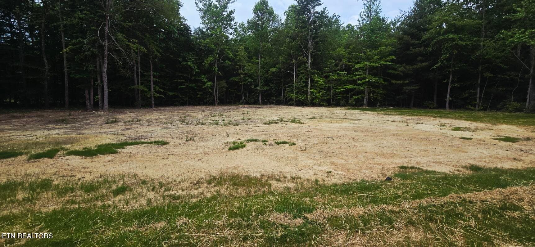 20260519_123553 - 186 Short Leaf Lane, Oneida, TN 37841