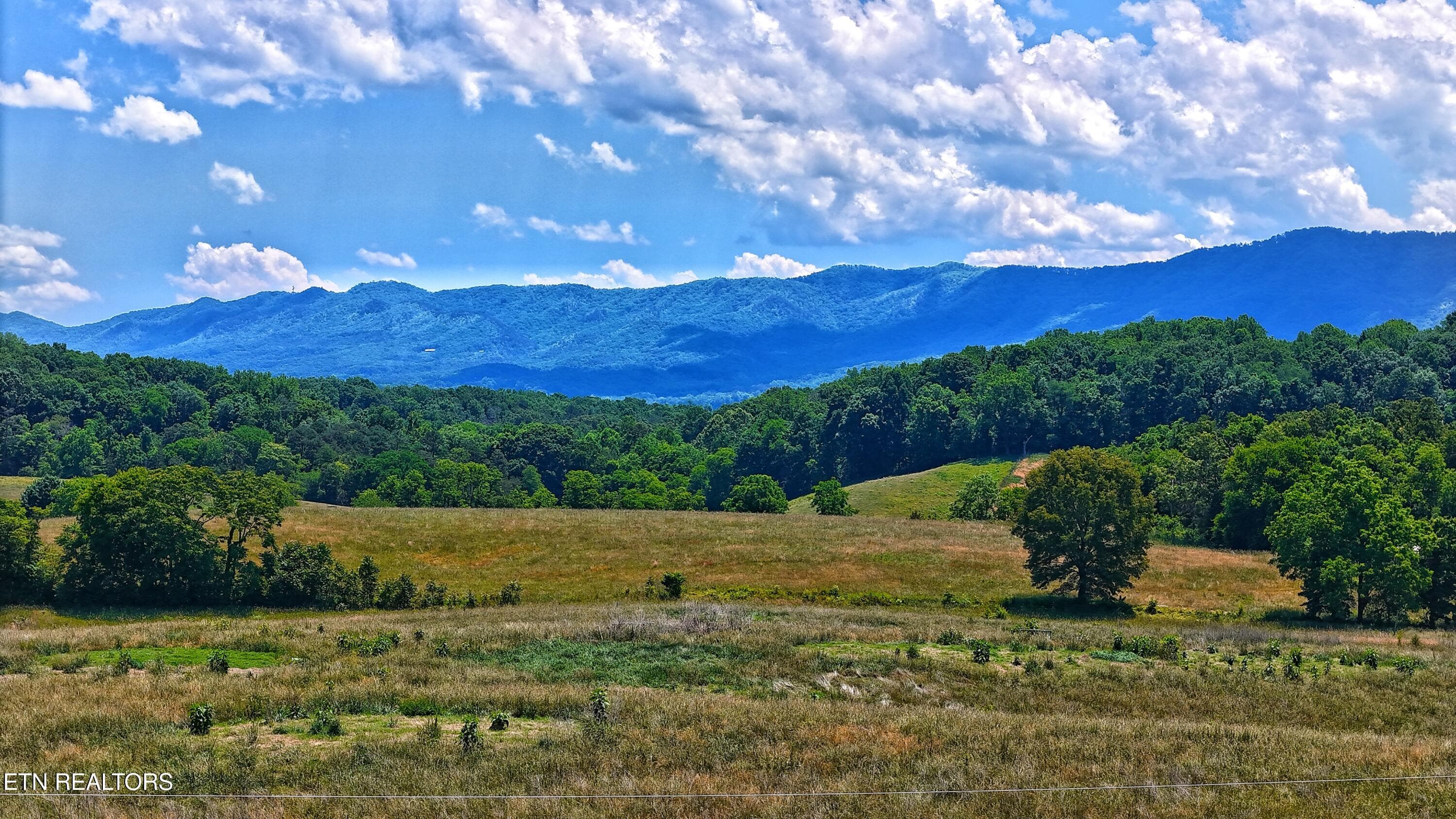 UNOBSTRUCTED MOUNTAIN VIEW - 251 Cloud Way, Parrottsville, TN 37843