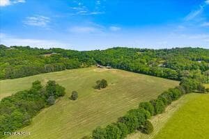 21 - 21+/- Acre County Road 675, Riceville, TN 37370