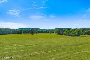 20 - 21+/- Acre County Road 675, Riceville, TN 37370