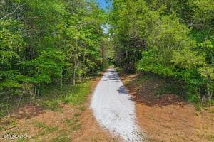 19 - 21+/- Acre County Road 675, Riceville, TN 37370