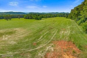 17 - 21+/- Acre County Road 675, Riceville, TN 37370