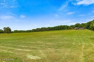 9 - 21+/- Acre County Road 675, Riceville, TN 37370