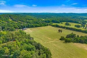 7 - 21+/- Acre County Road 675, Riceville, TN 37370