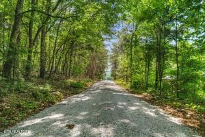5 - 21+/- Acre County Road 675, Riceville, TN 37370
