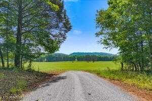 2 - 21+/- Acre County Road 675, Riceville, TN 37370