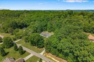 39 - 456 County Road 135, Riceville, TN 37370