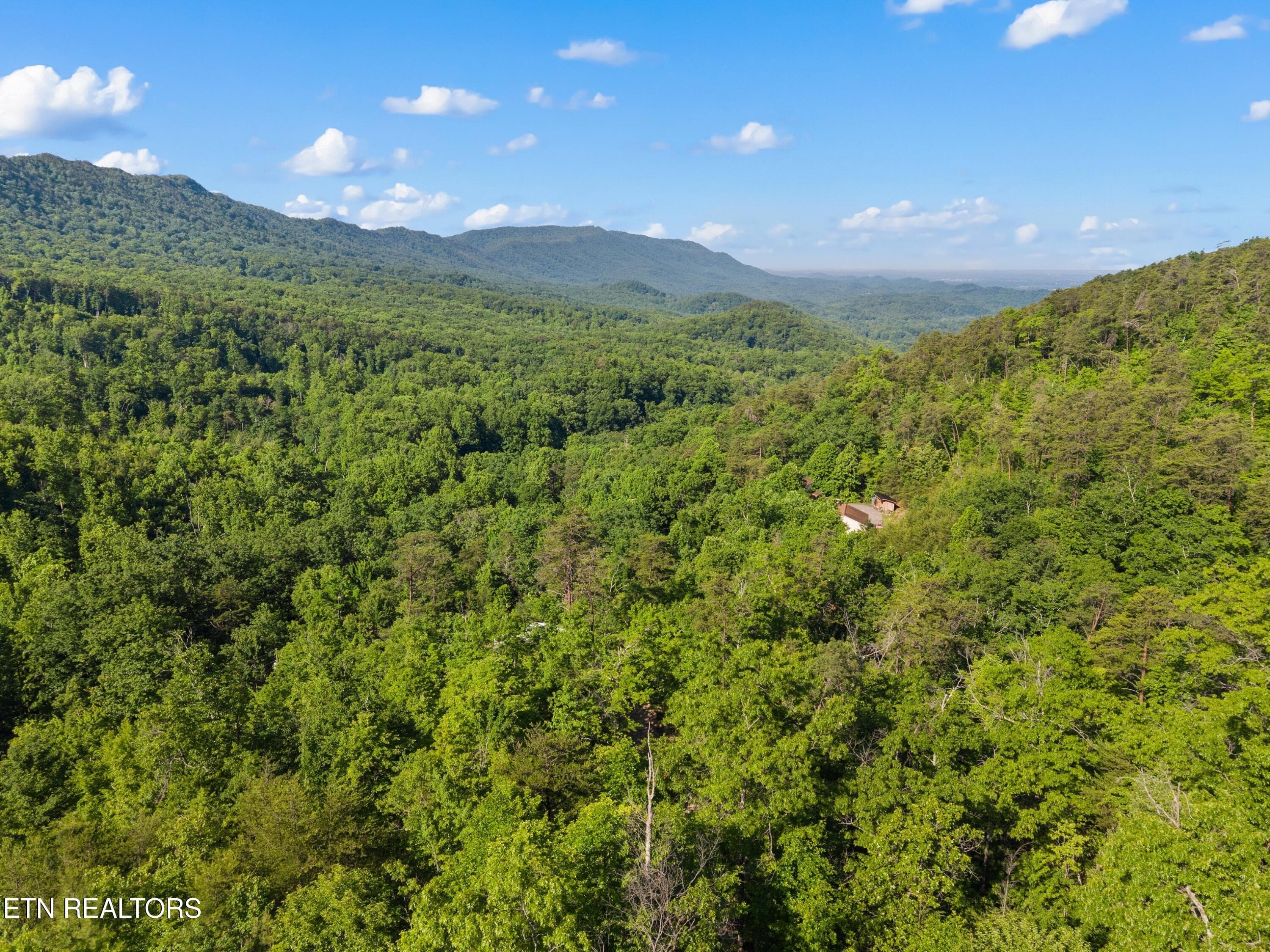 025-1053ReaganSpringsRd-Seymour-TN-37865 - 1053 Reagan Springs Road, Seymour, TN 37865