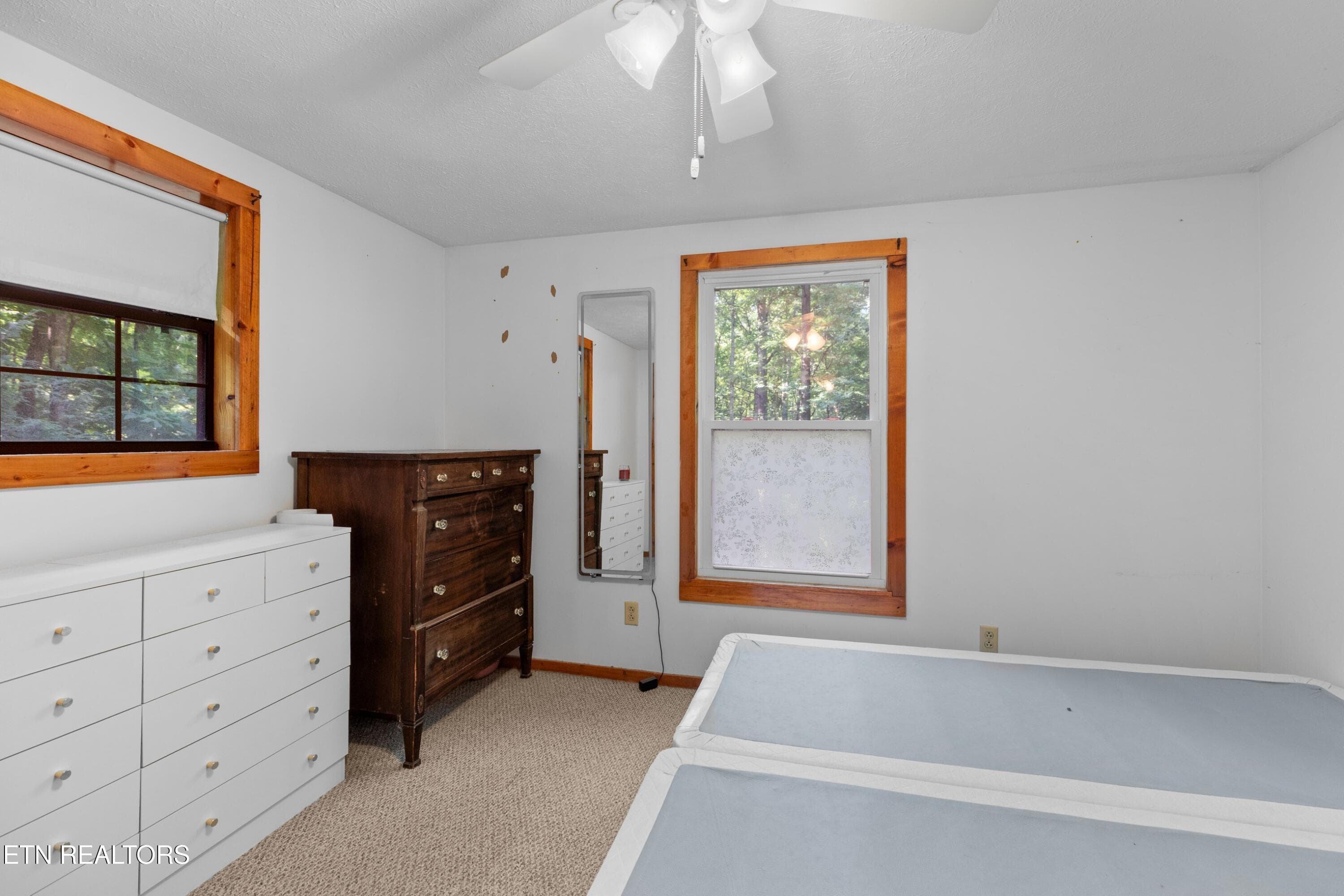 017-1053ReaganSpringsRd-Seymour-TN-37865 - 1053 Reagan Springs Road, Seymour, TN 37865