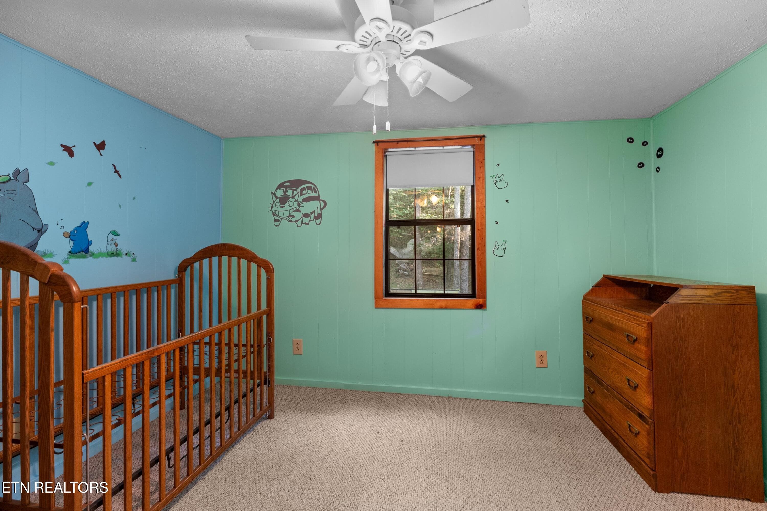 015-1053ReaganSpringsRd-Seymour-TN-37865 - 1053 Reagan Springs Road, Seymour, TN 37865