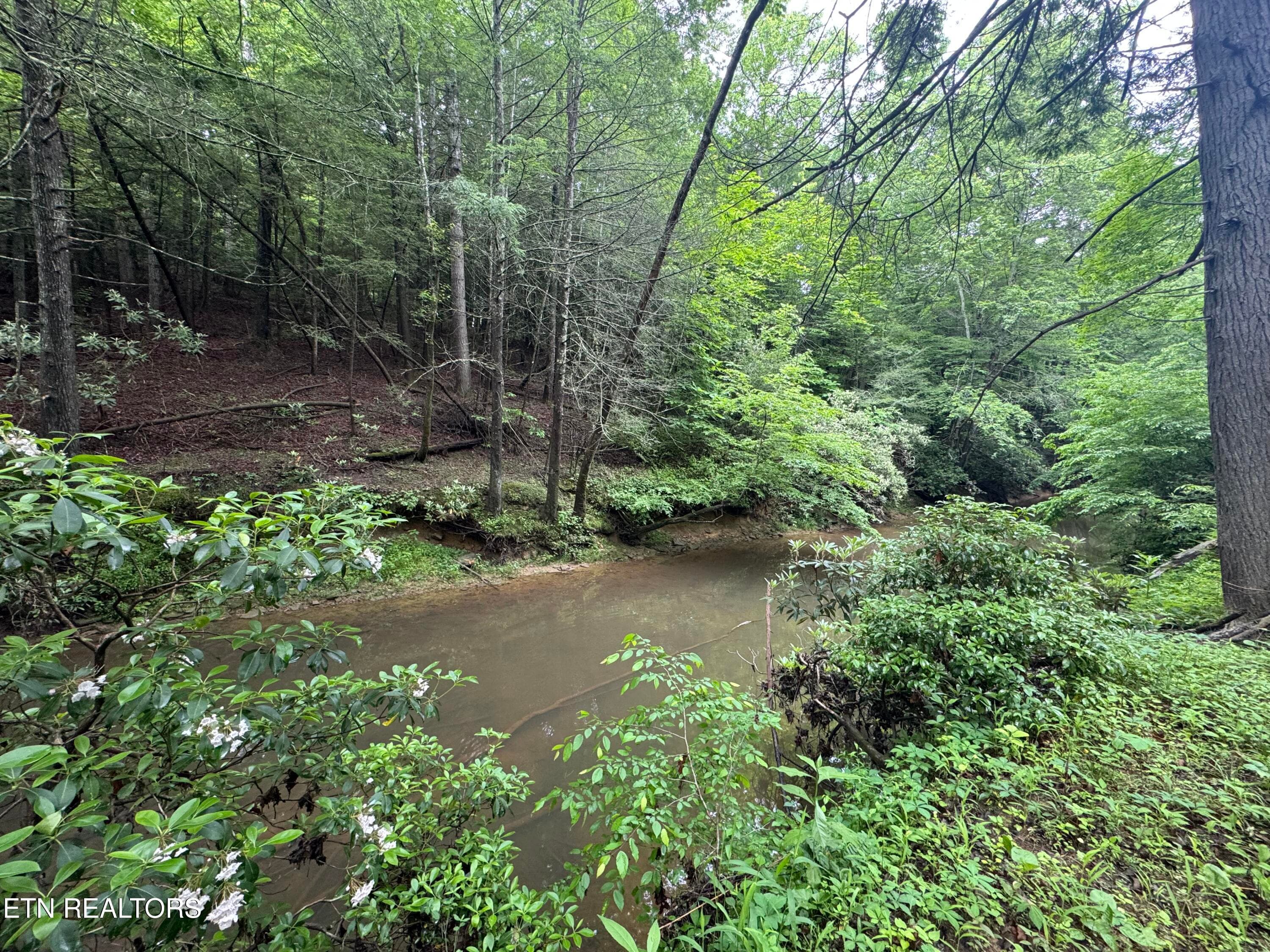 IMG_3374 - Lot #1 Burrville Rd, Sunbright, TN 37872