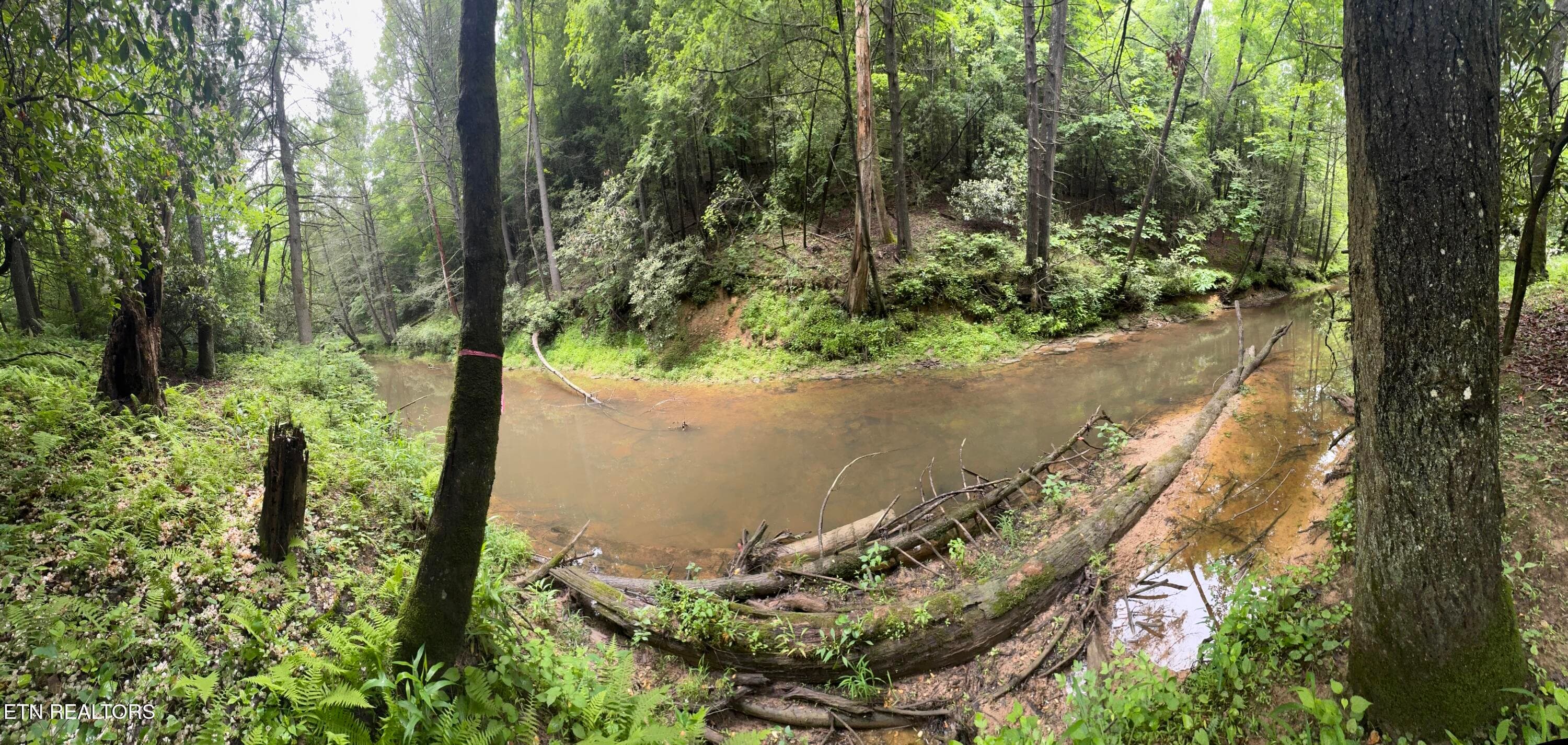 IMG_3385 - Lot #1 Burrville Rd, Sunbright, TN 37872