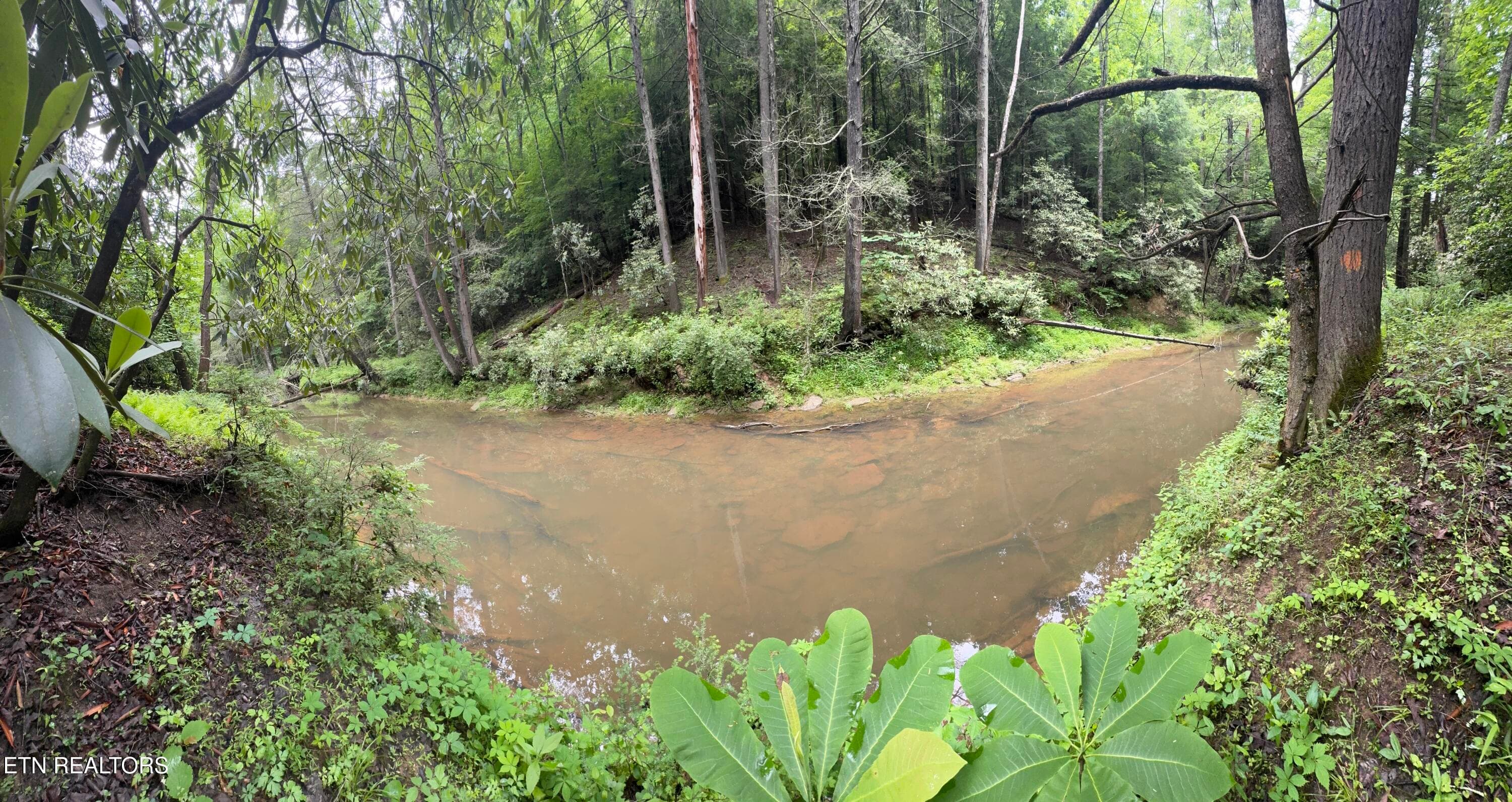 IMG_3387 - Lot #1 Burrville Rd, Sunbright, TN 37872