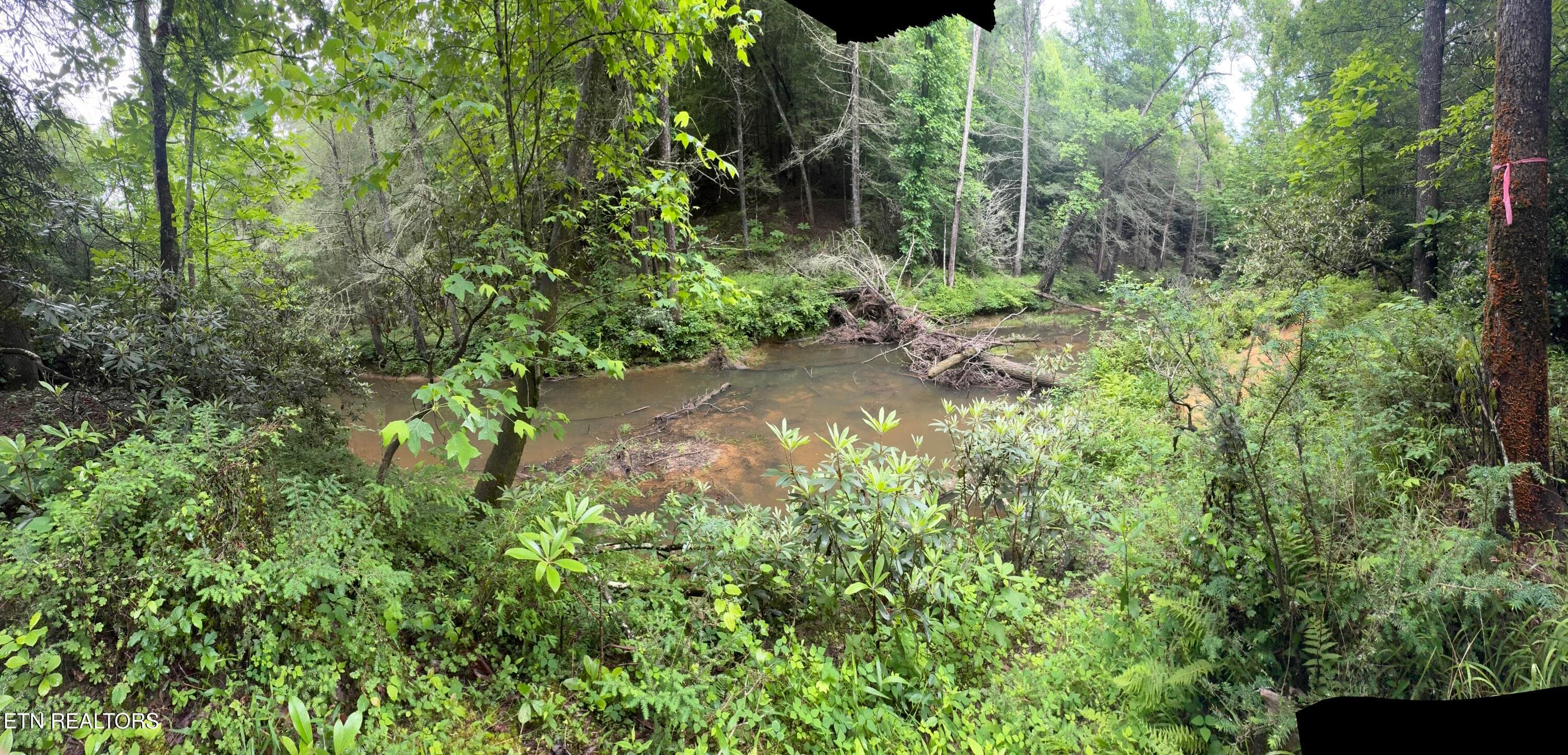 IMG_3389 - Lot #1 Burrville Rd, Sunbright, TN 37872