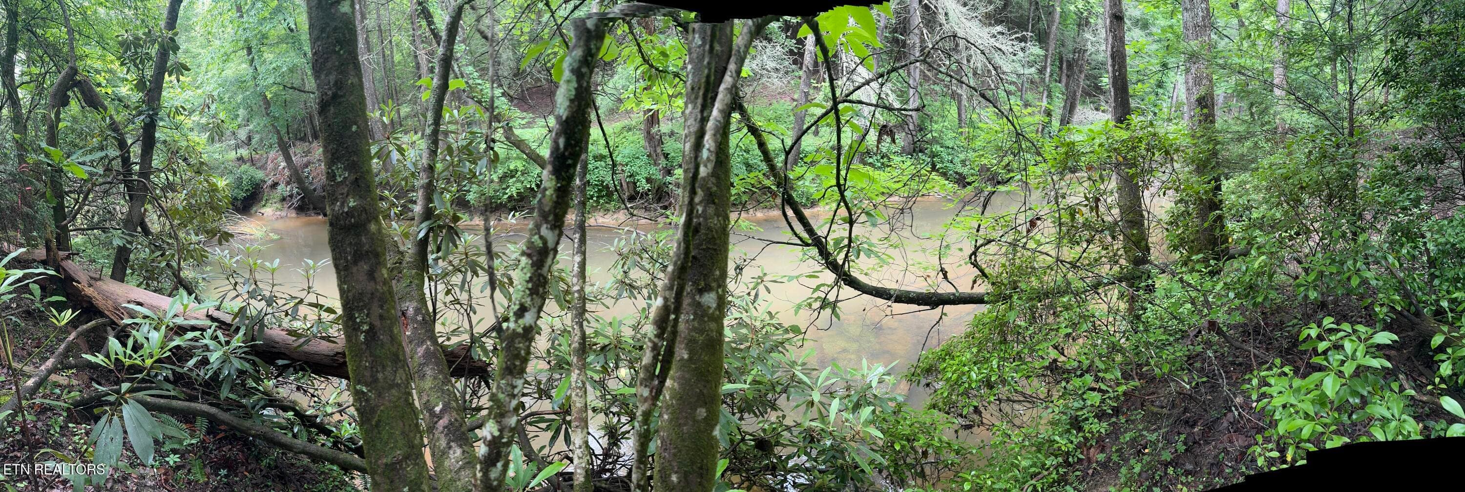 IMG_3392 - Lot #1 Burrville Rd, Sunbright, TN 37872
