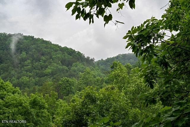 1044 29 - 1044 Black Bear Cub Way, Sevierville, TN 37862