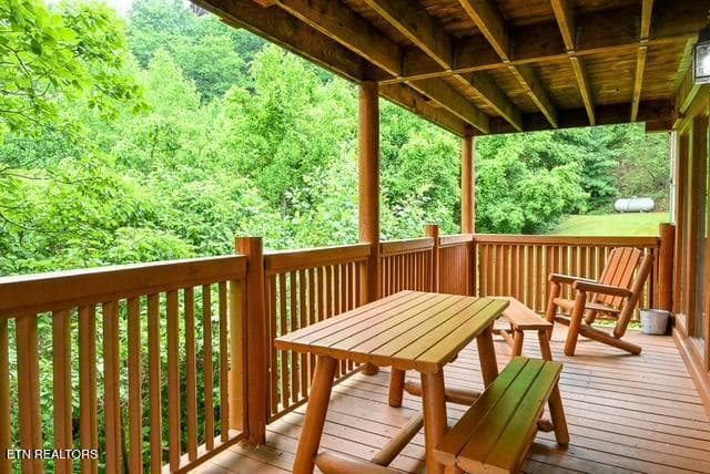 1044 28 - 1044 Black Bear Cub Way, Sevierville, TN 37862