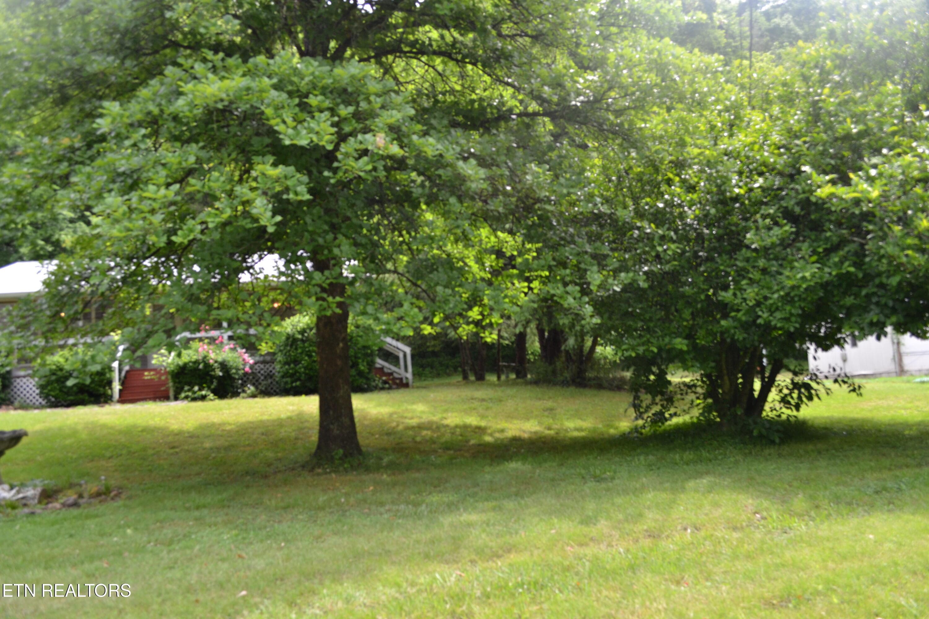 DSC_0028 - 1505 Add Stafford Rd, Hilham, TN 38568