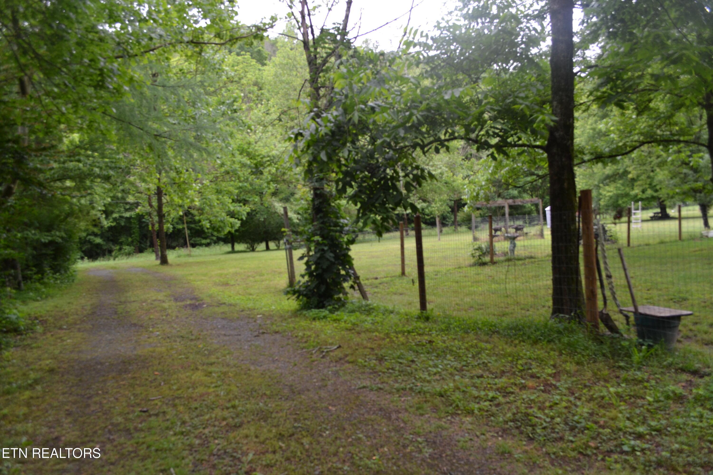 DSC_0055 - 1505 Add Stafford Rd, Hilham, TN 38568