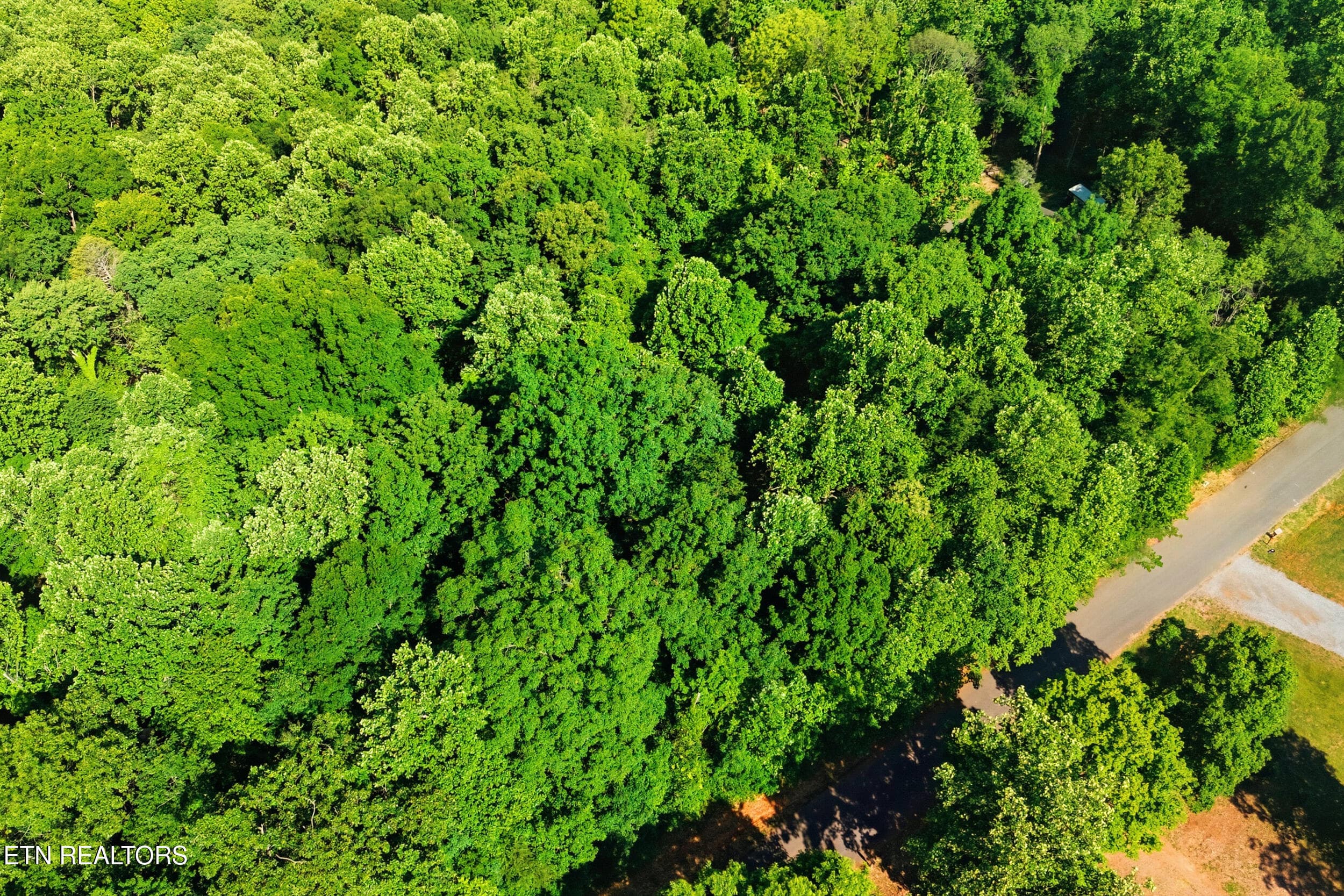 16_steviawy014 - Lots 32&33 Stevia Way, Cosby, TN 37722