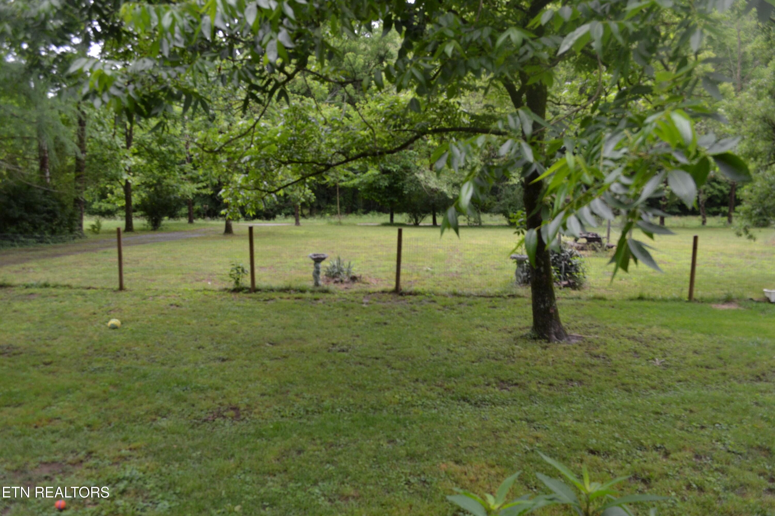 DSC_0106 - 1557 Add Stafford Rd, Hilham, TN 38568