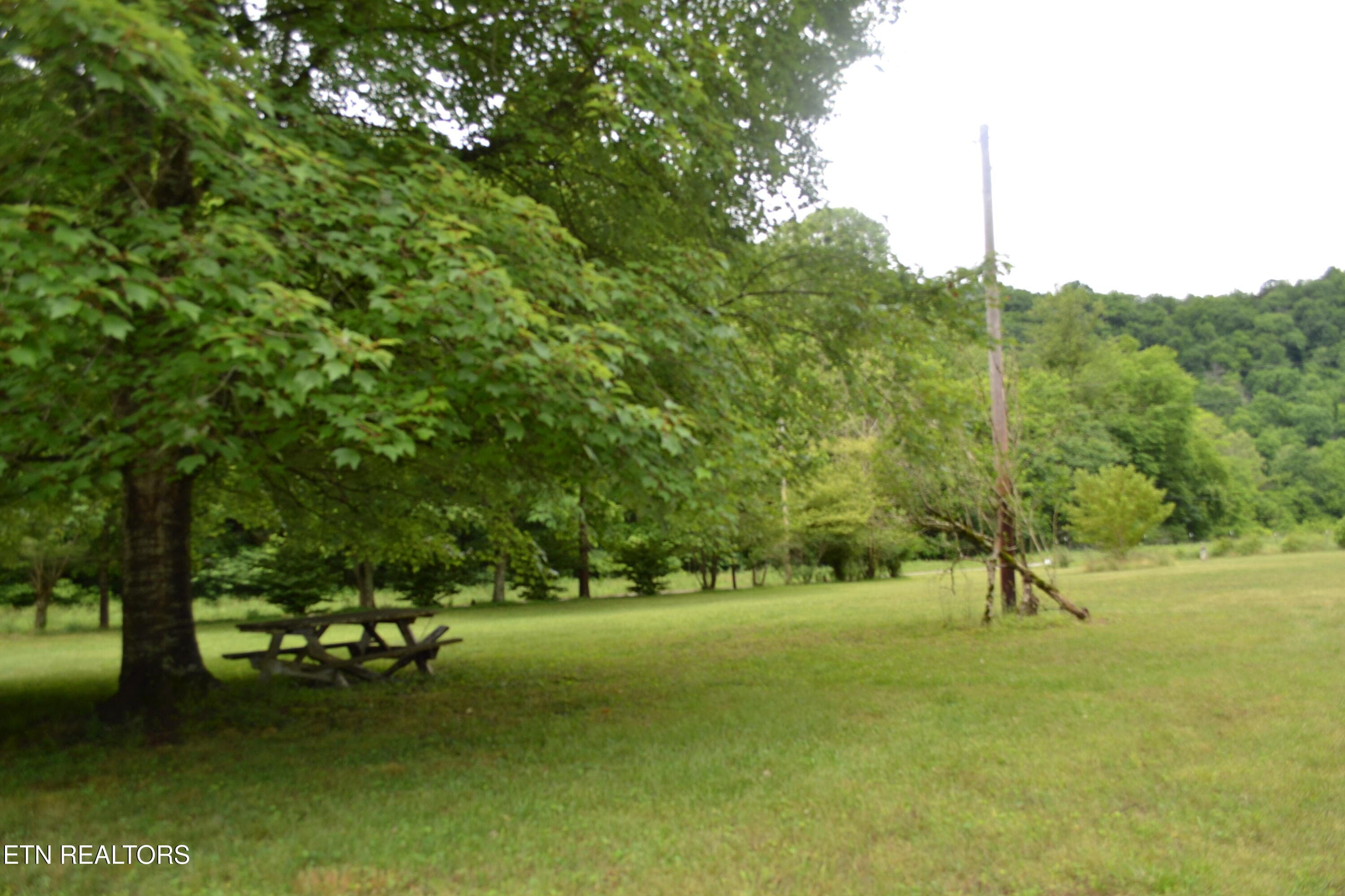 DSC_0036 - 1557 Add Stafford Rd, Hilham, TN 38568