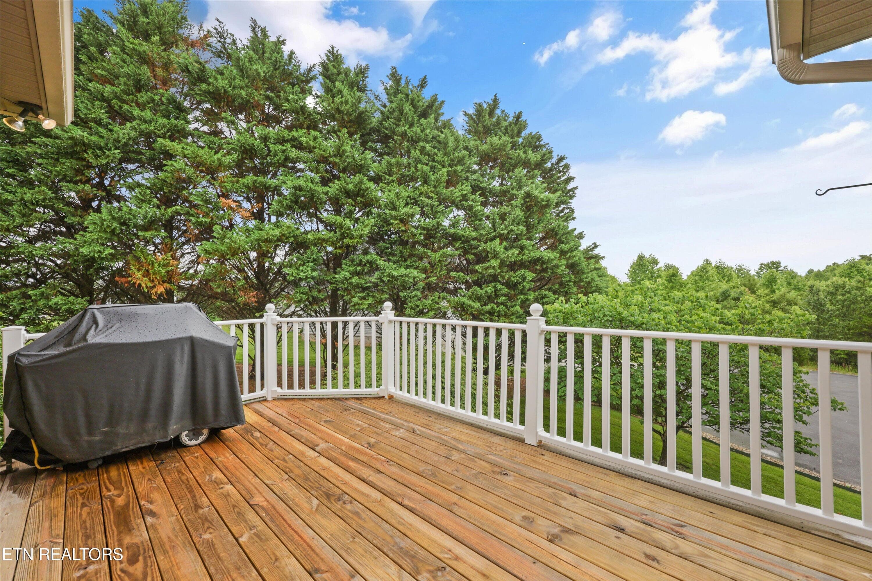Grill, Gather, Relax - 145 Nunyu Tr, Vonore, TN 37885