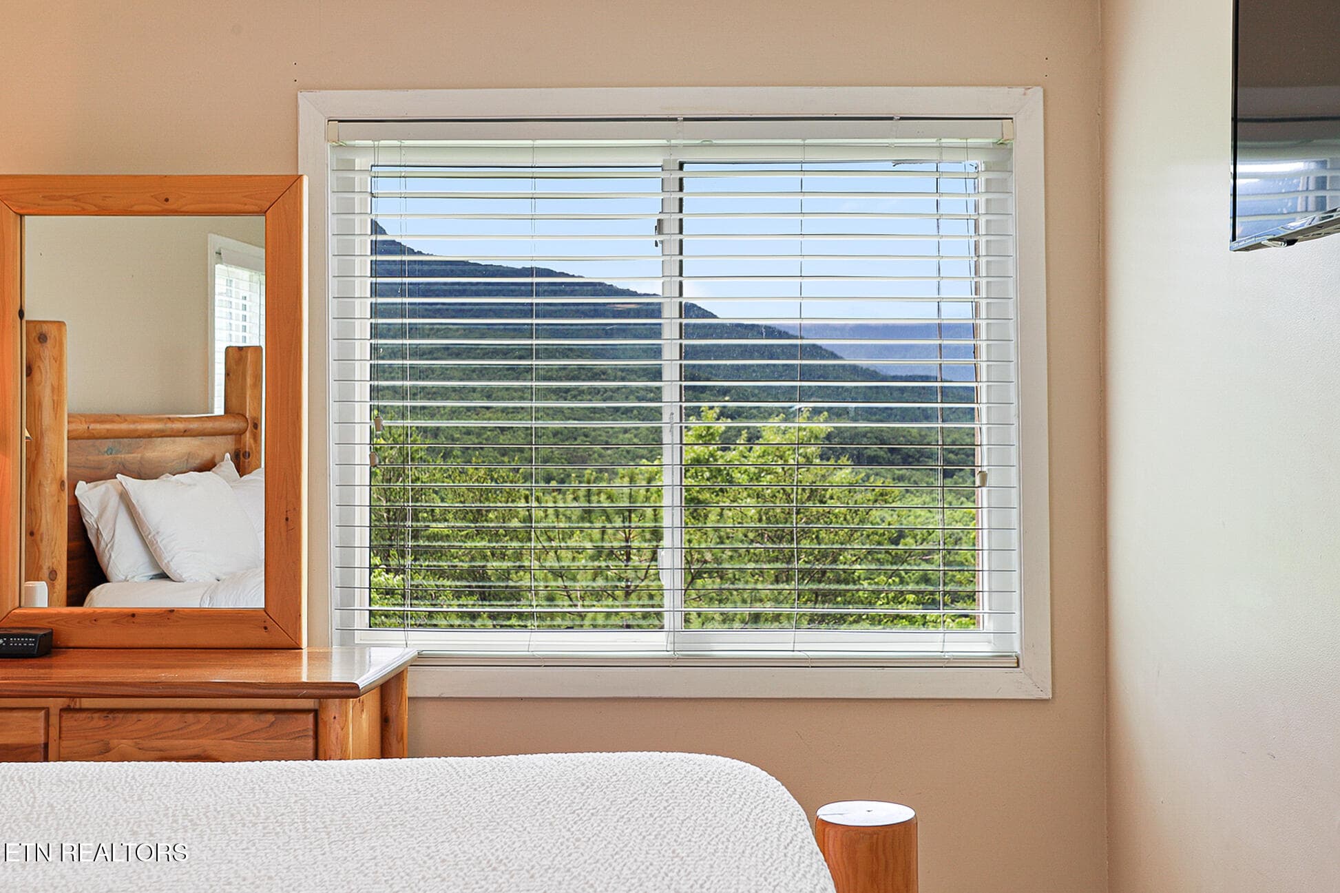 3710 Weber Rd 201B-115 - 3710 Weber Rd UNIT 201-B, Gatlinburg, TN 37738, Gatlinburg