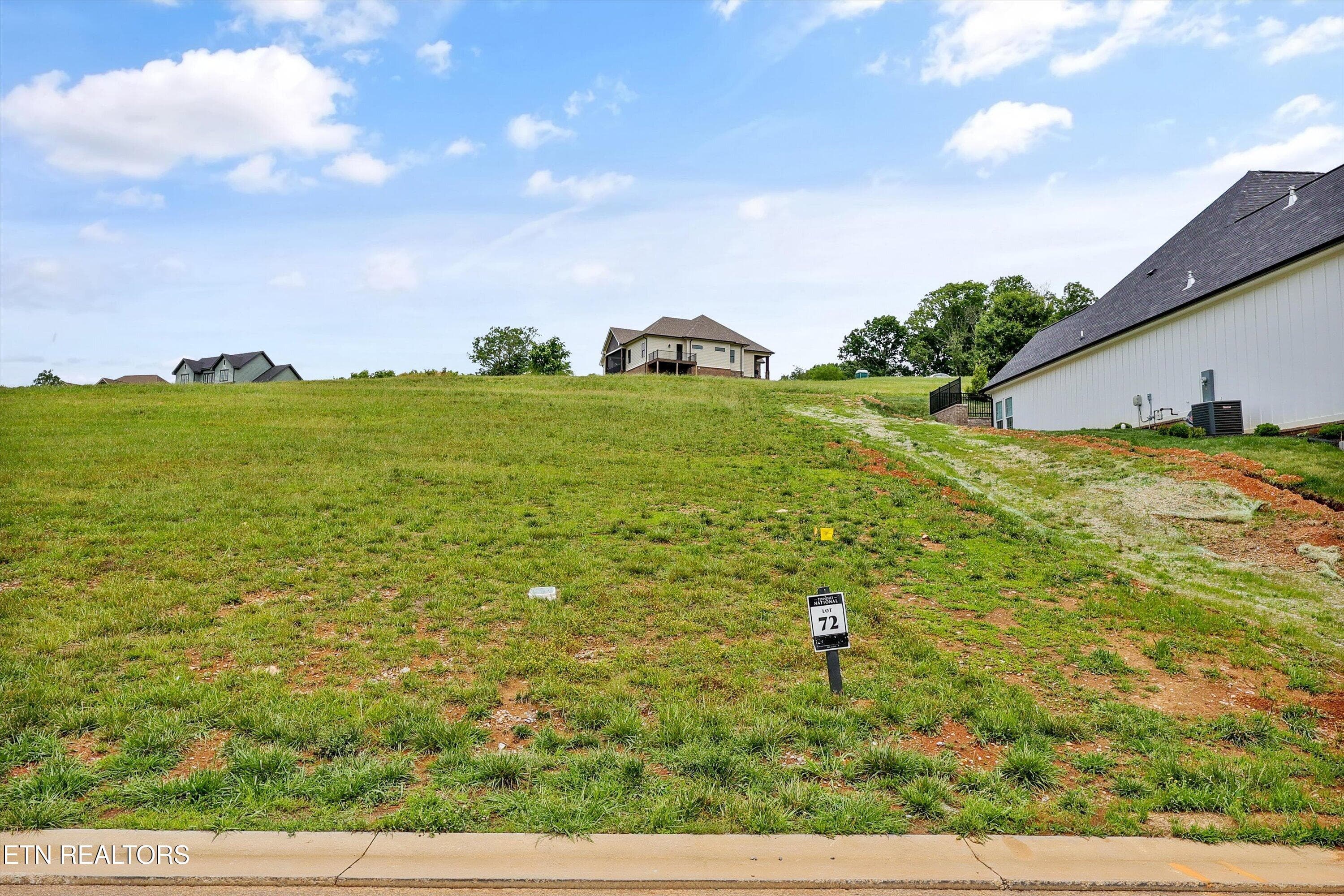 chestnut - 2033 Chestnut Lane, Loudon, TN 37774