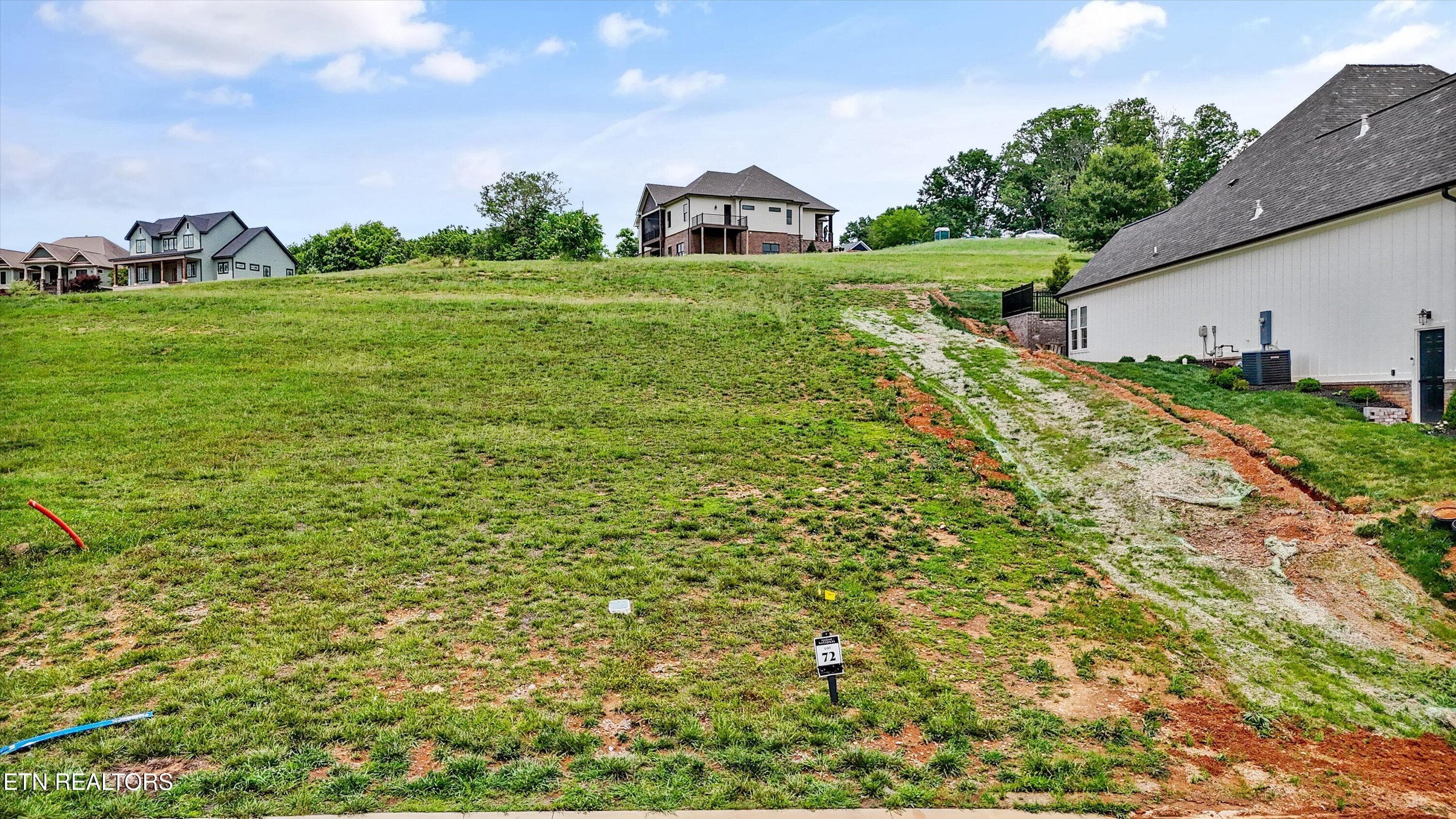 chestnut - 2033 Chestnut Lane, Loudon, TN 37774