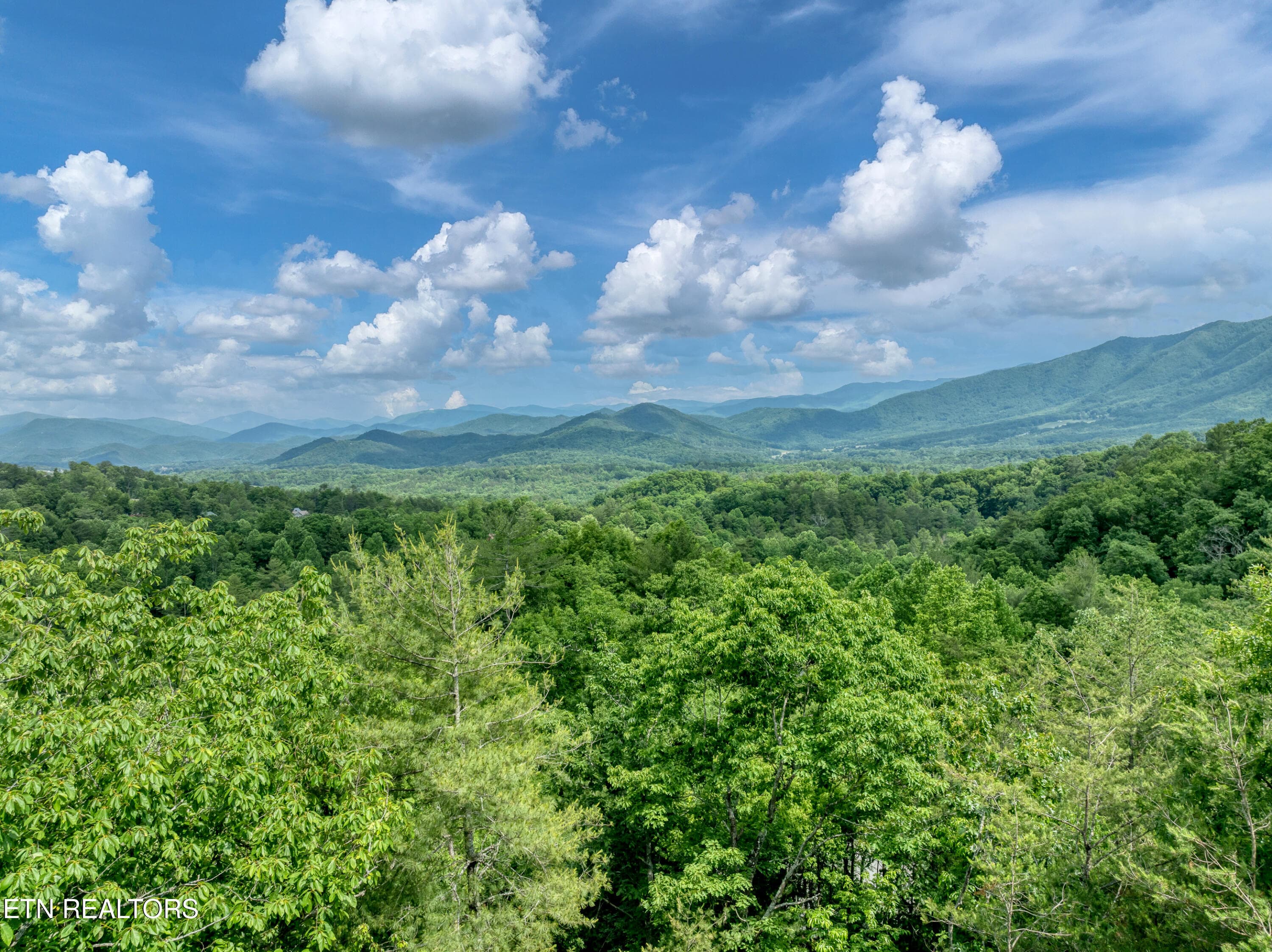 DJI_0949-2 - 544 Nathans Nook Rd, Townsend, TN 37882