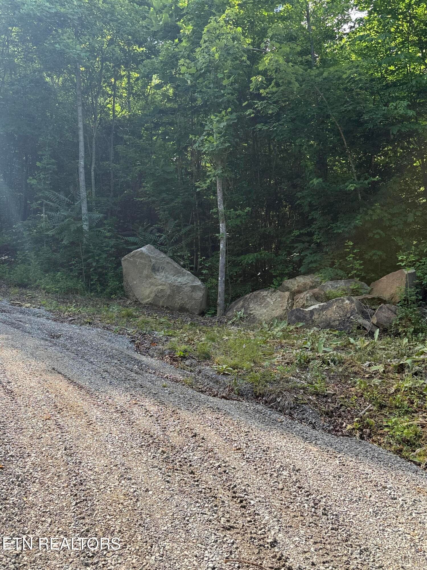 Driveway - 549 Defender Rd, LaFollette, TN 37766