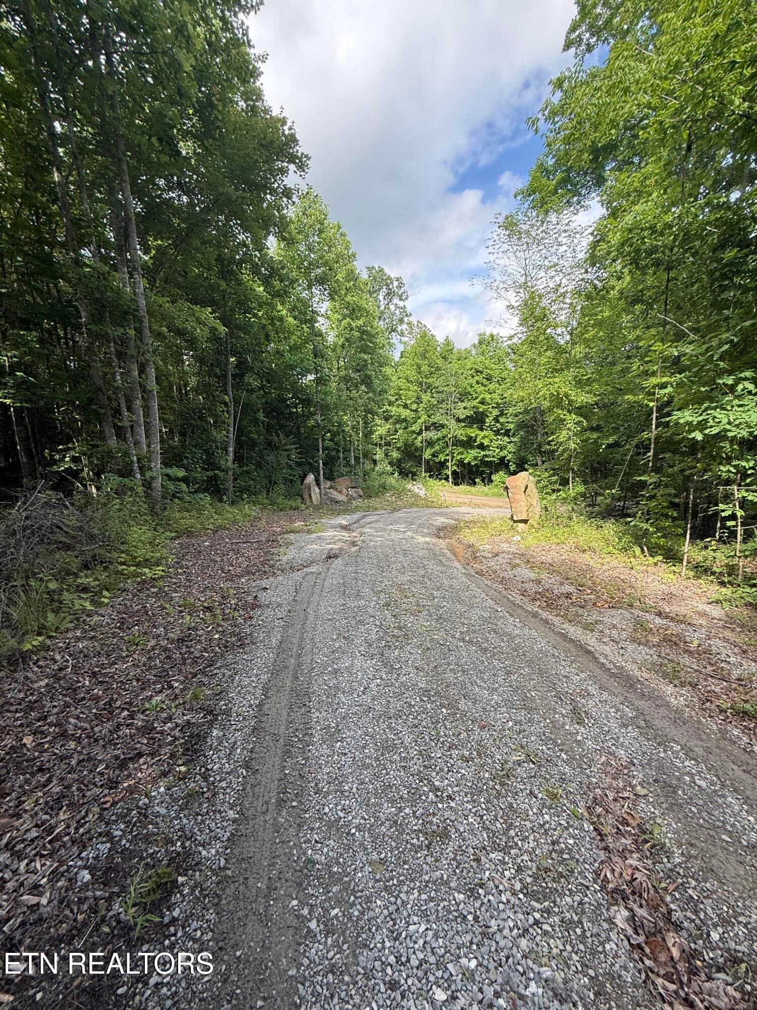 Driveway - 549 Defender Rd, LaFollette, TN 37766