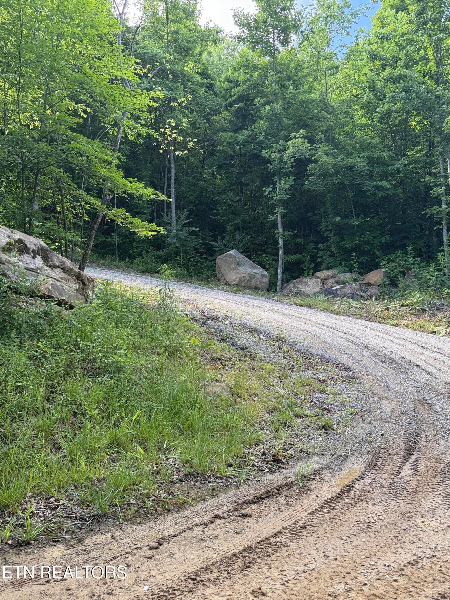 Driveway - 549 Defender Rd, LaFollette, TN 37766