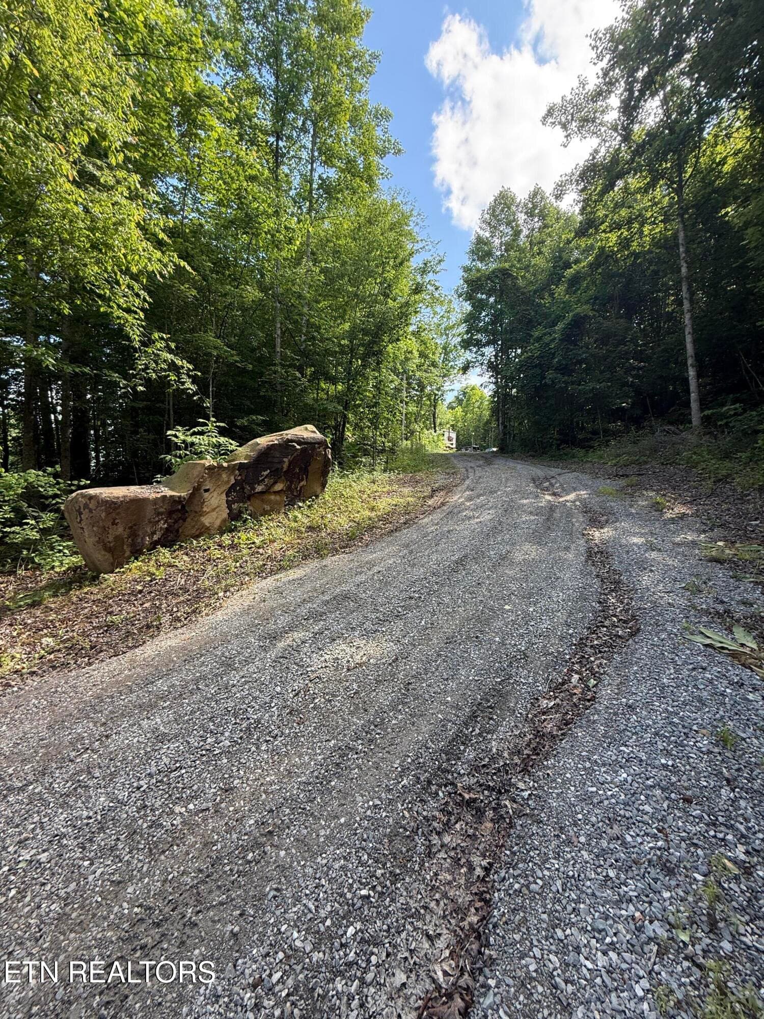Driveway - 549 Defender Rd, LaFollette, TN 37766
