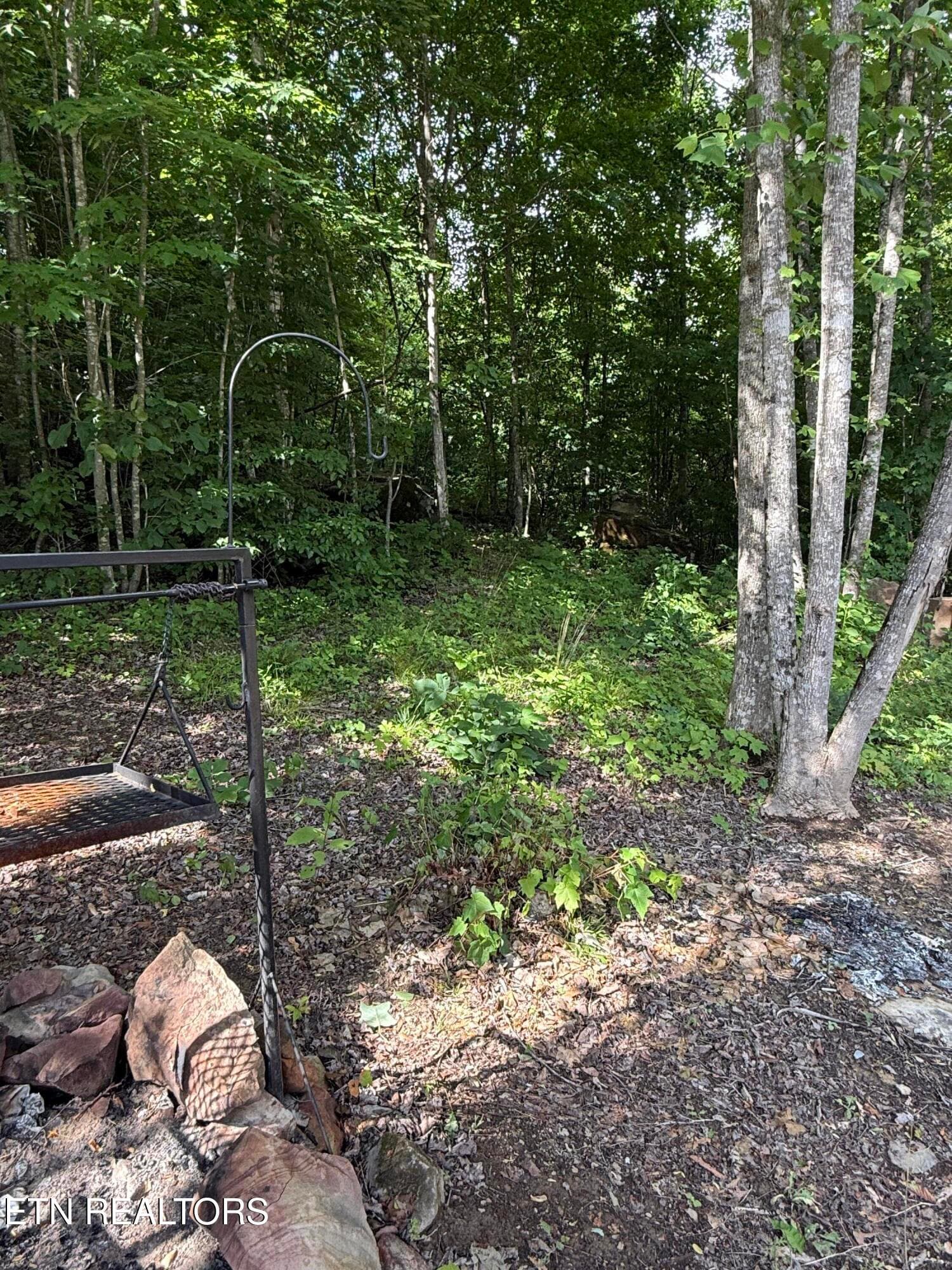 Fire Pit area - 549 Defender Rd, LaFollette, TN 37766